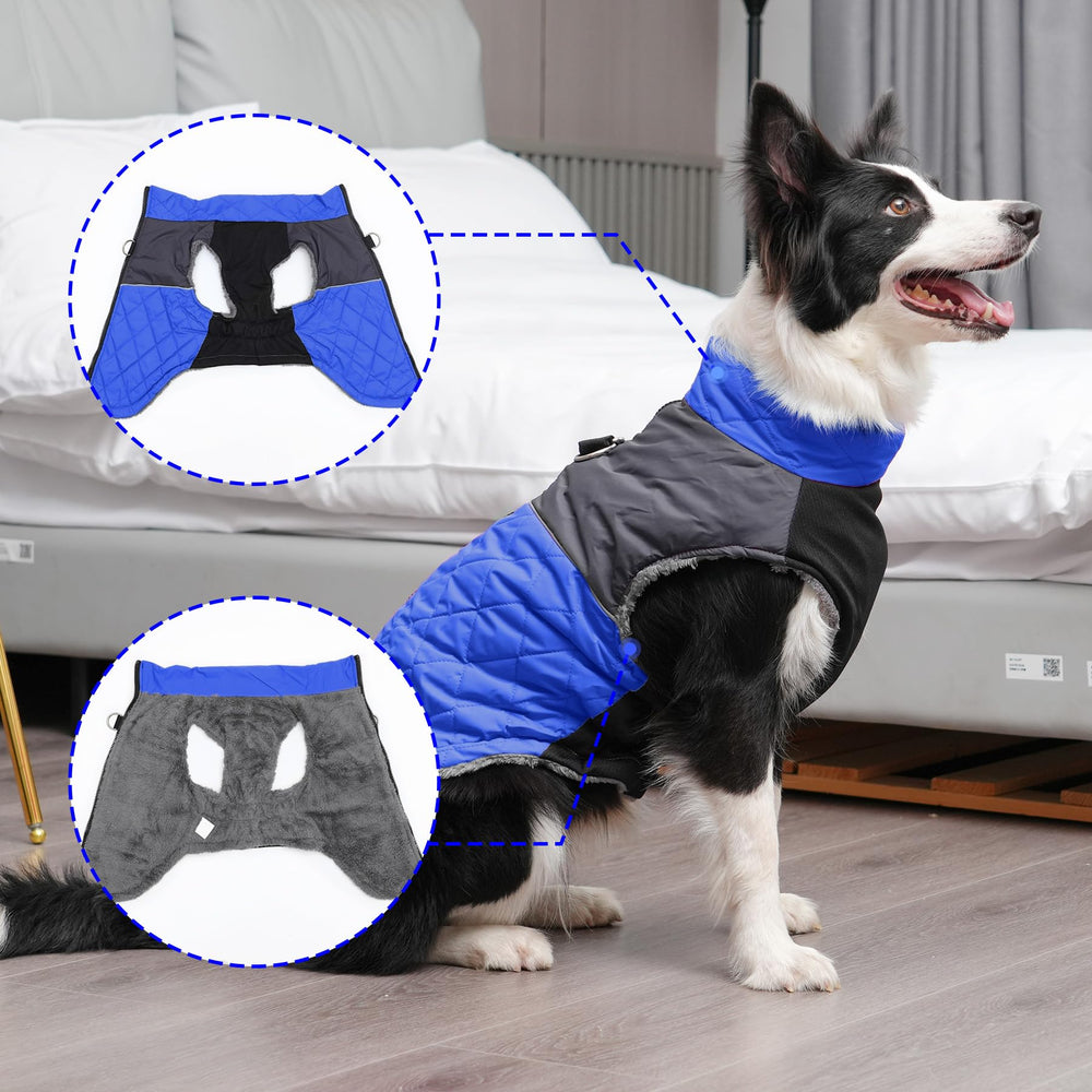 JoyDaog abdominal elastic detail for comfortable, flexible fit during activity
