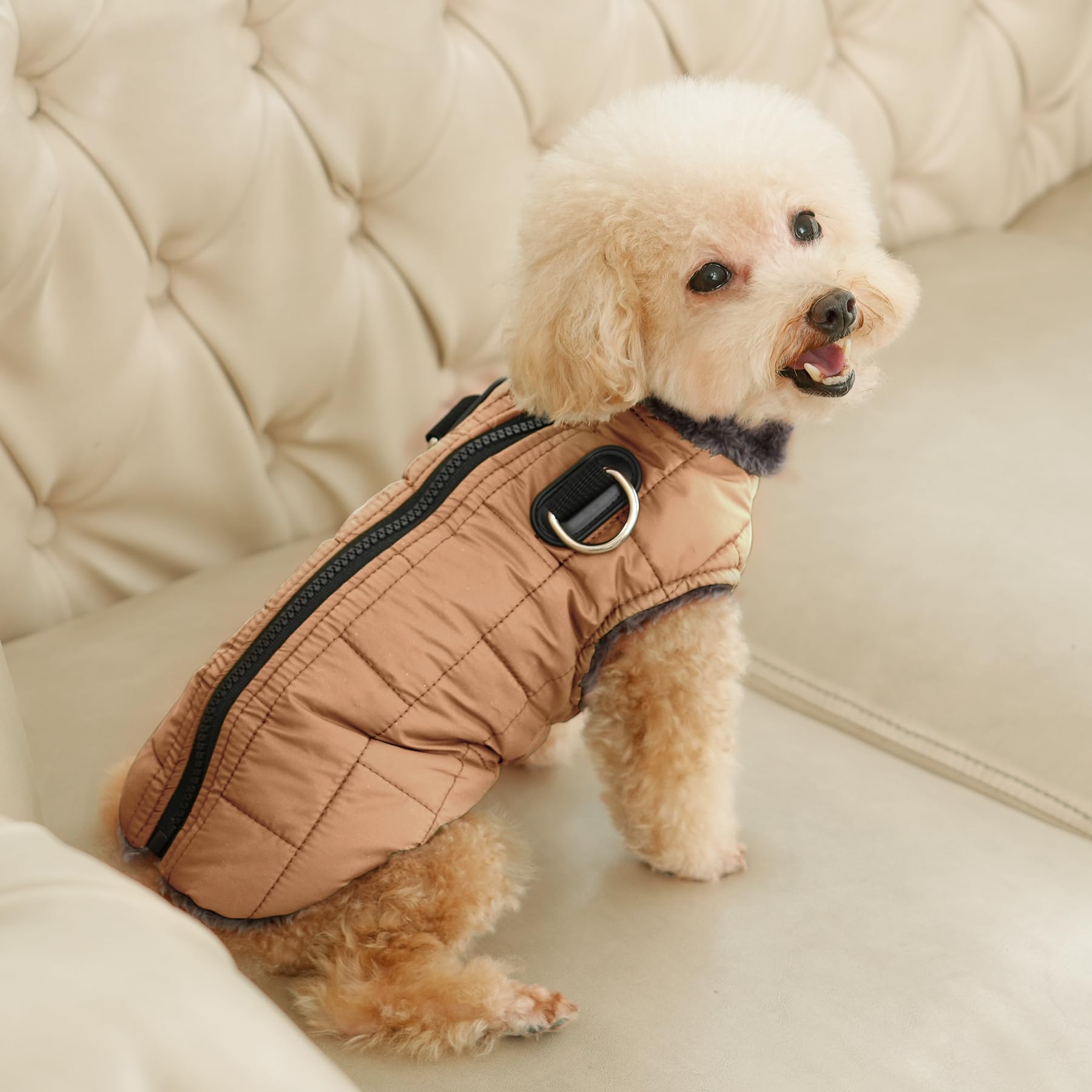 JoyDaog abdominal elastic design for comfortable movement and secure fit