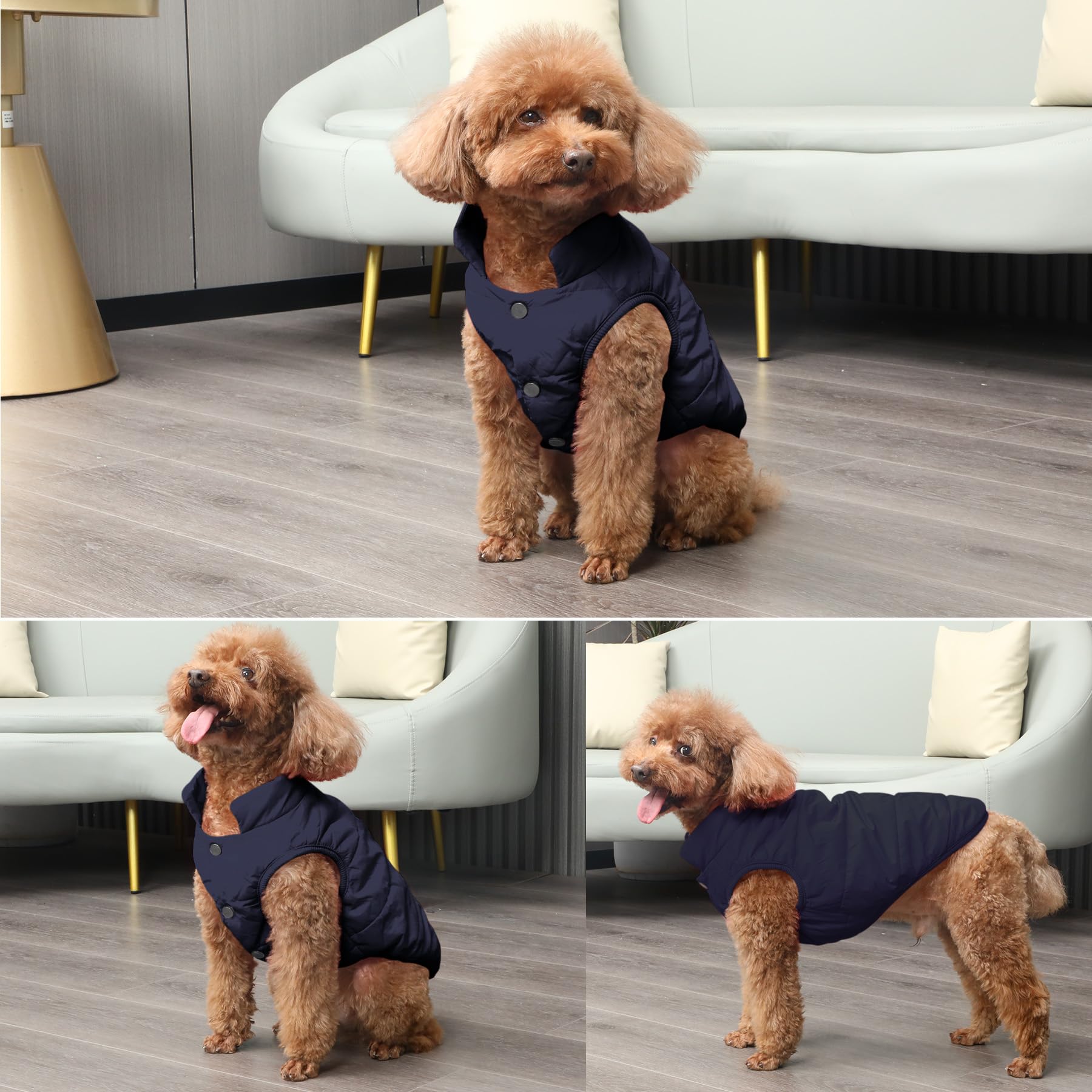 JoyDaog blue dog coat ideal for winter walks and comfort