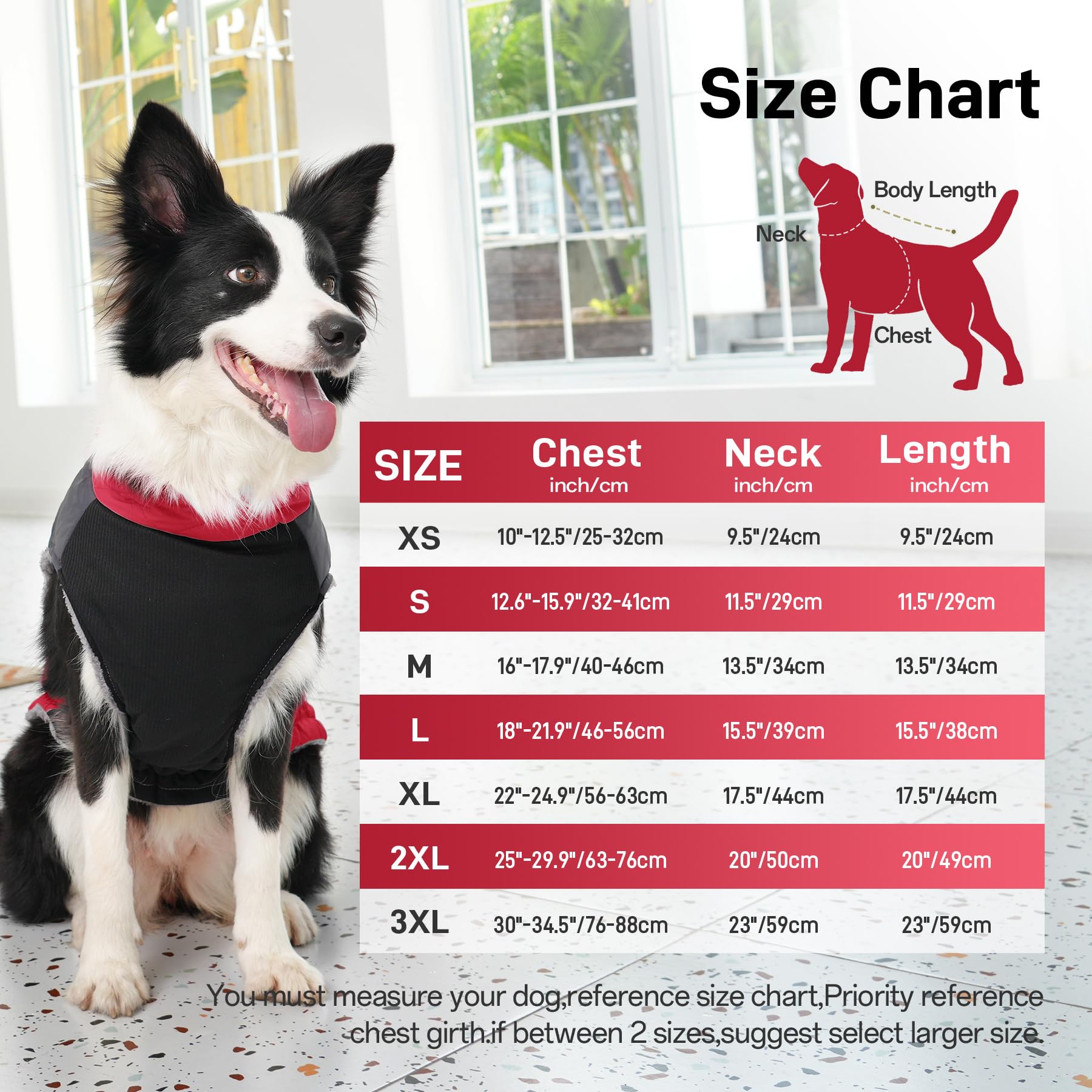 JoyDaog coat shows two D rings for secure leash attachment during adventures.