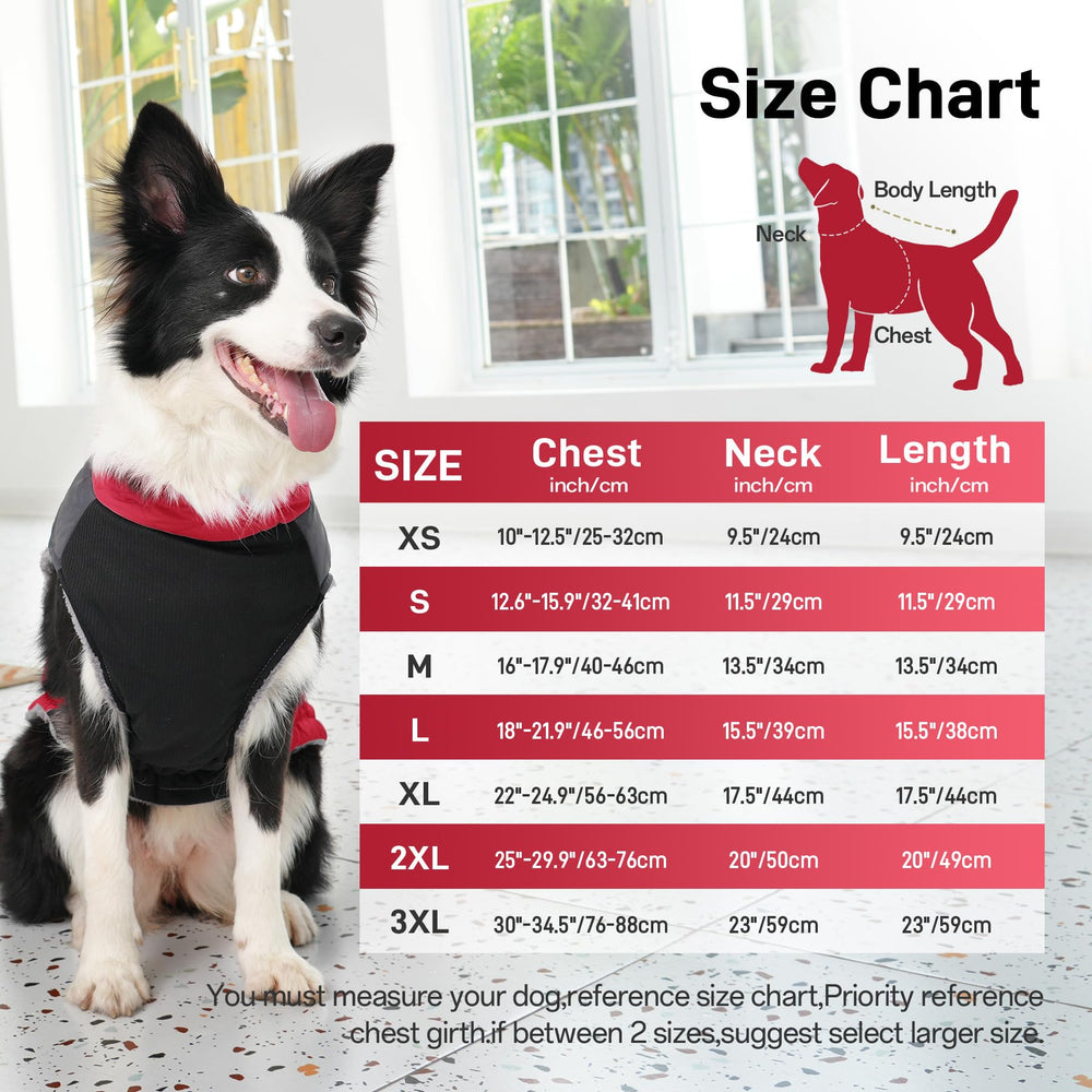 JoyDaog coat shows two D rings for secure leash attachment during adventures.