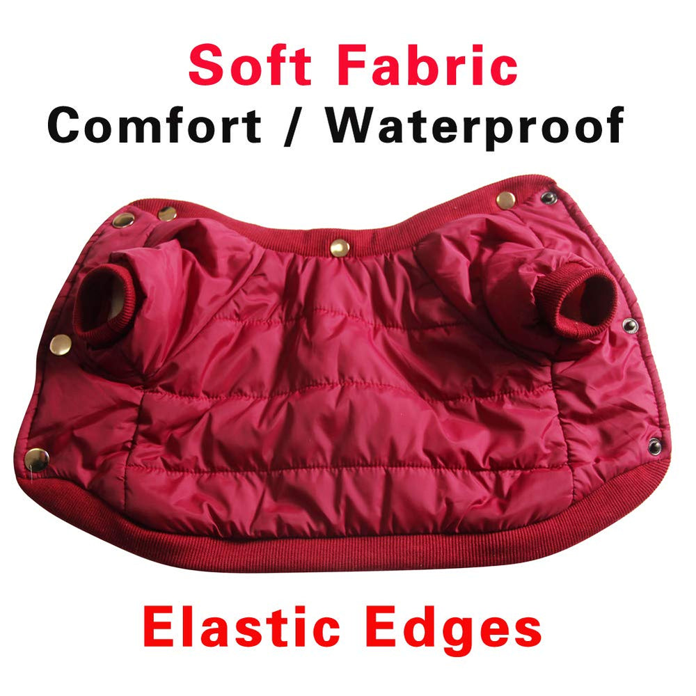 JoyDaog detachable hind legs coat demonstrates flexible coverage for changing conditions.