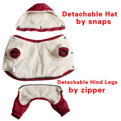 JoyDaog dog coat with detachable hood shown for versatile weather-ready styling.