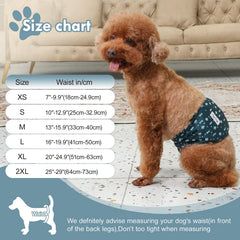 JoyDaog diaper with absorbent pad demonstrates strong moisture control
