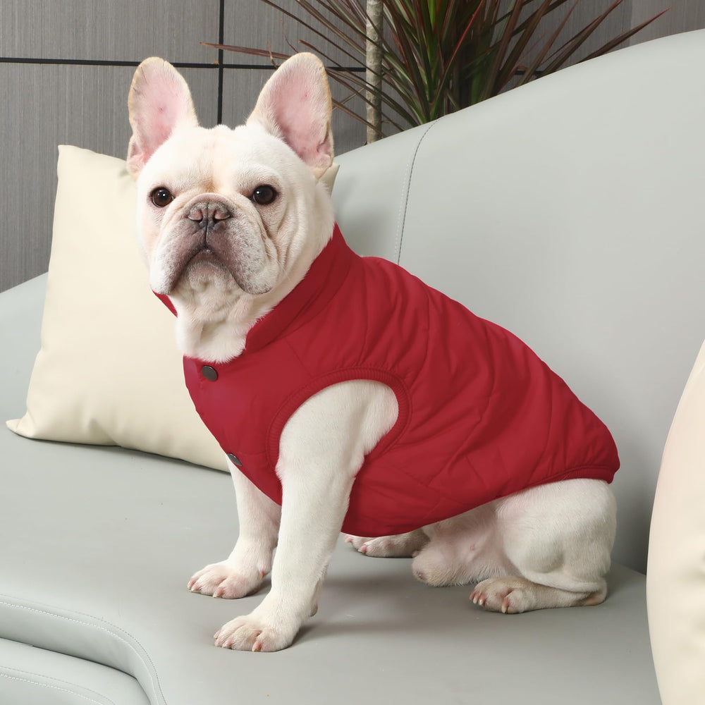 JoyDaog lightweight yet warm coat ideal for winter outings