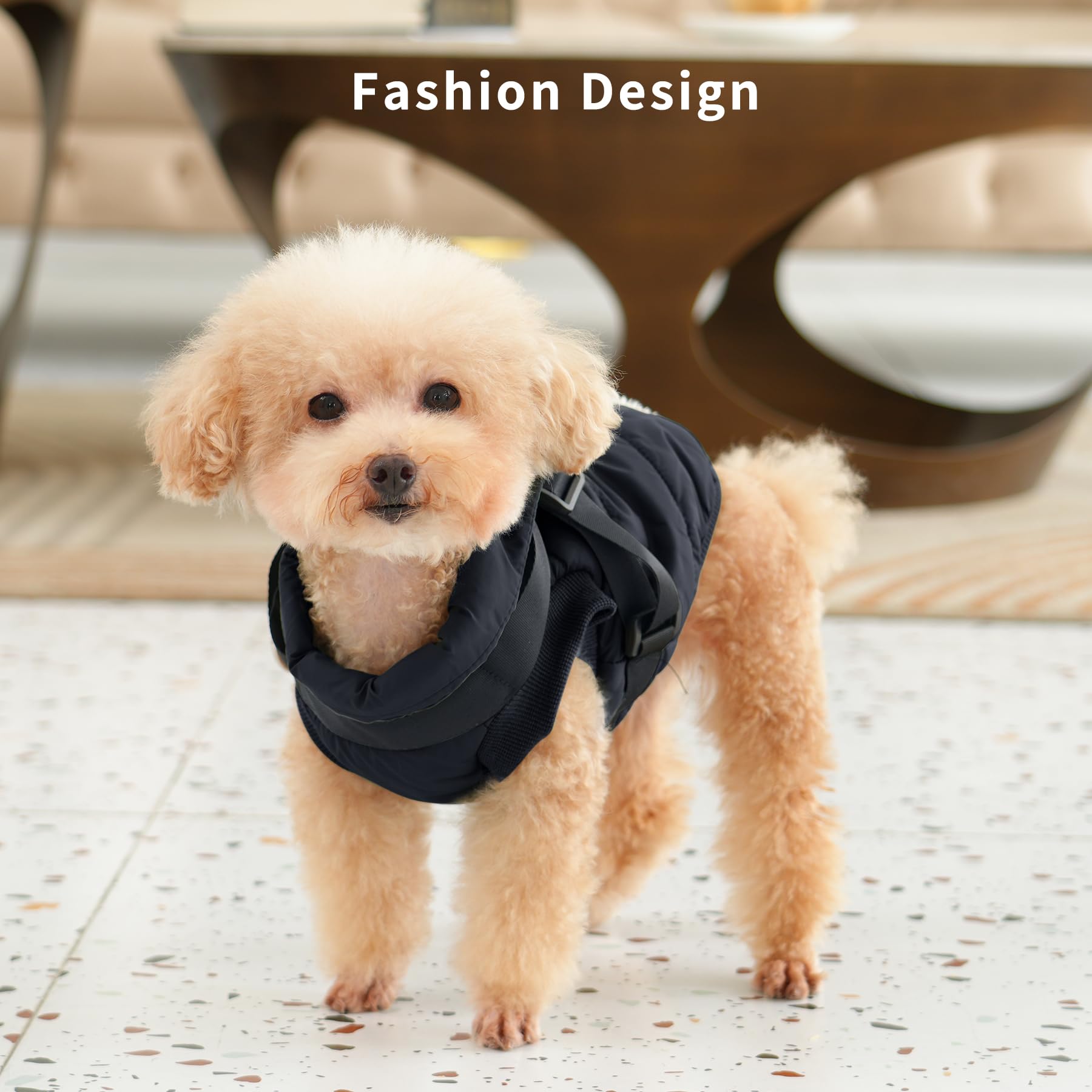 JoyDaog easy-on snaps closeup demonstrates quick dressing