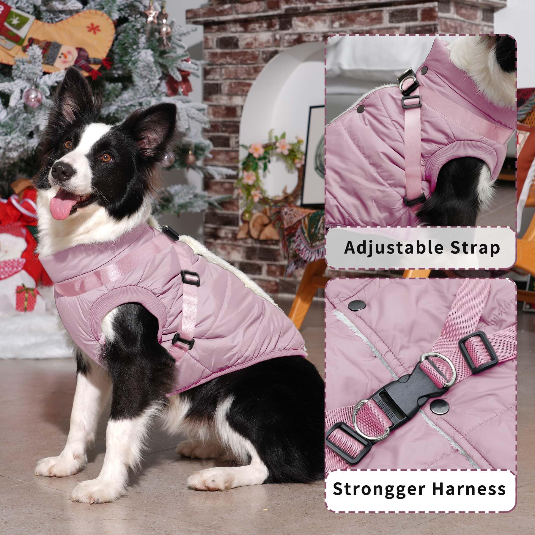 JoyDaog jacket with built-in harness secures the chest and waist