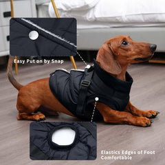 JoyDaog harness-distribution on dog jacket demonstrates even weight for comfort