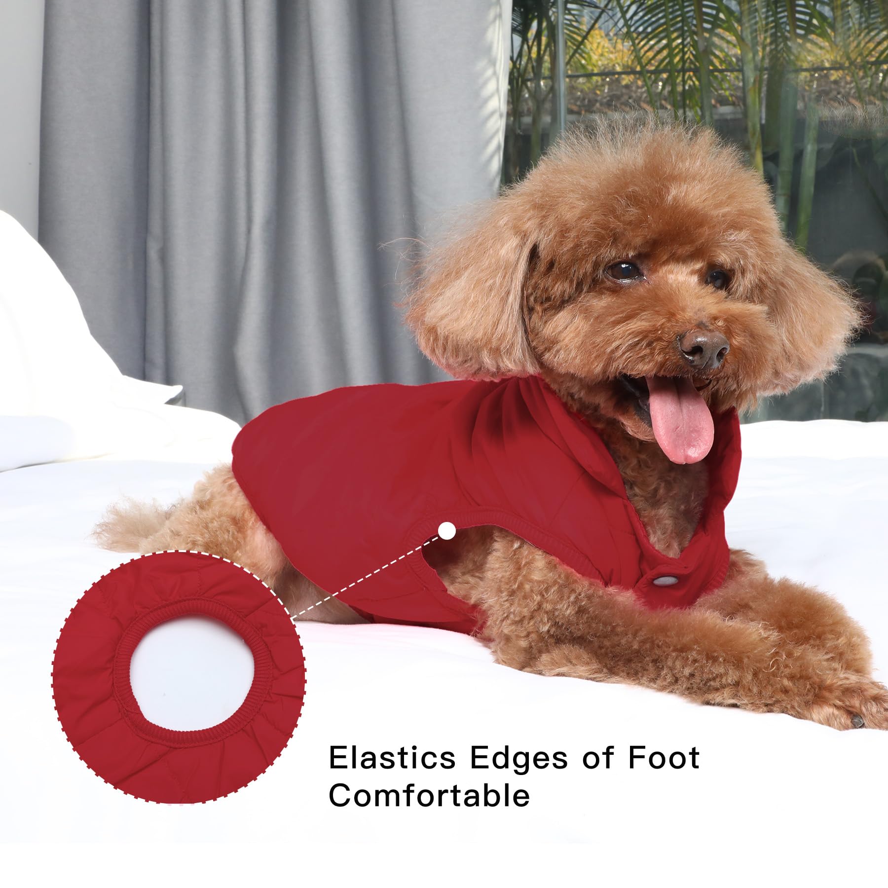 JoyDaog size M chest guide helps achieve proper fit
