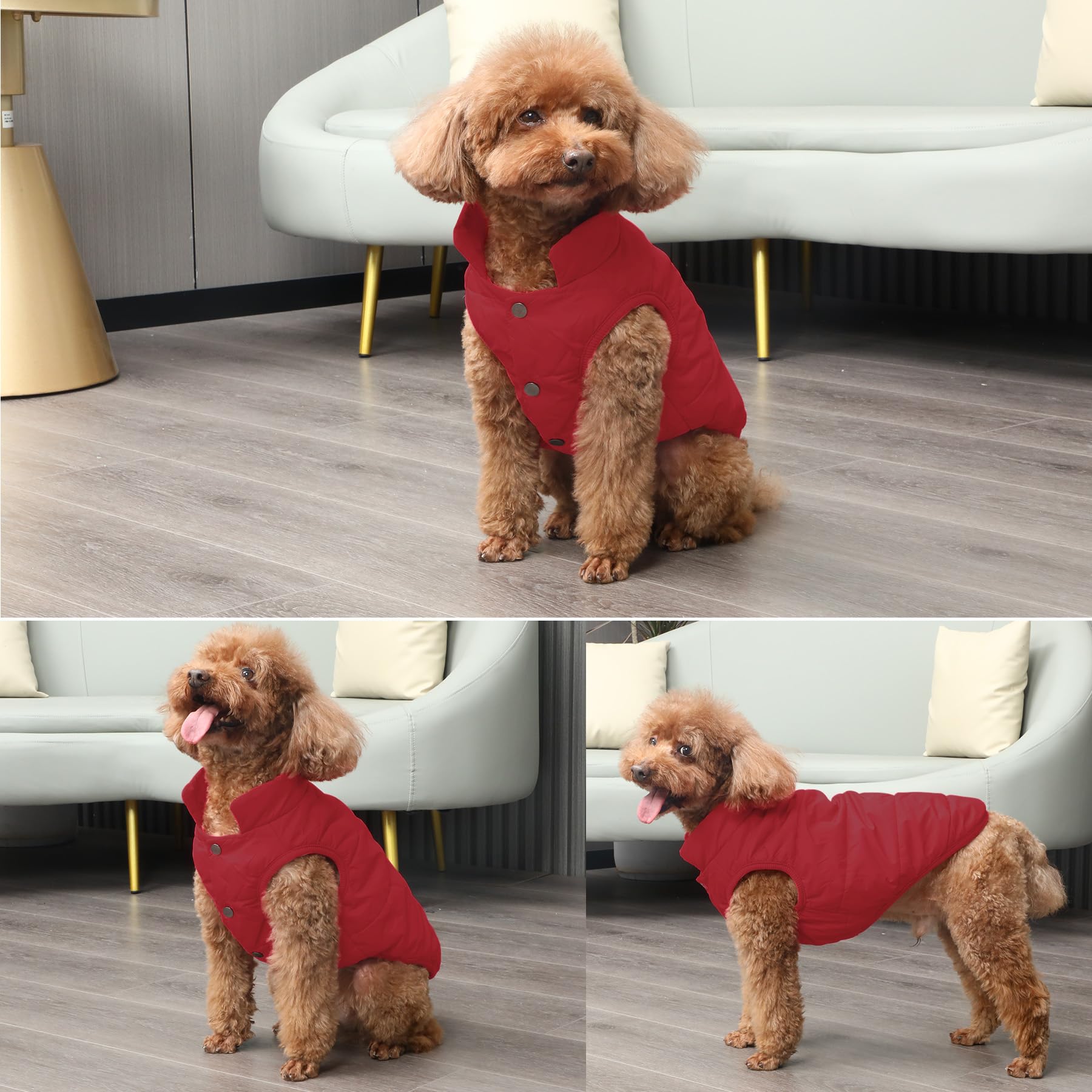 JoyDaog durable stitching ensures lasting everyday use
