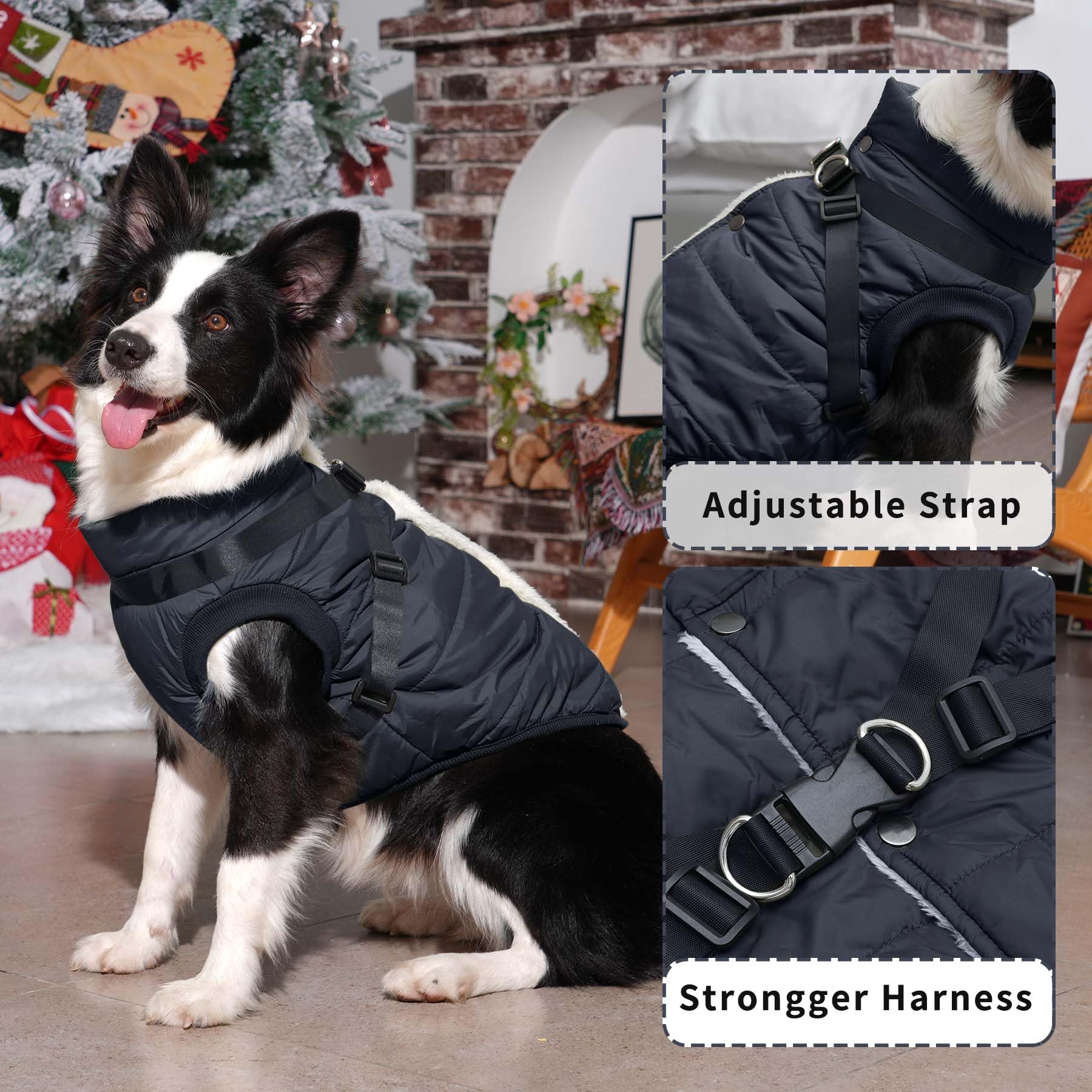 JoyDaog dog jacket with harness back view highlights coverage