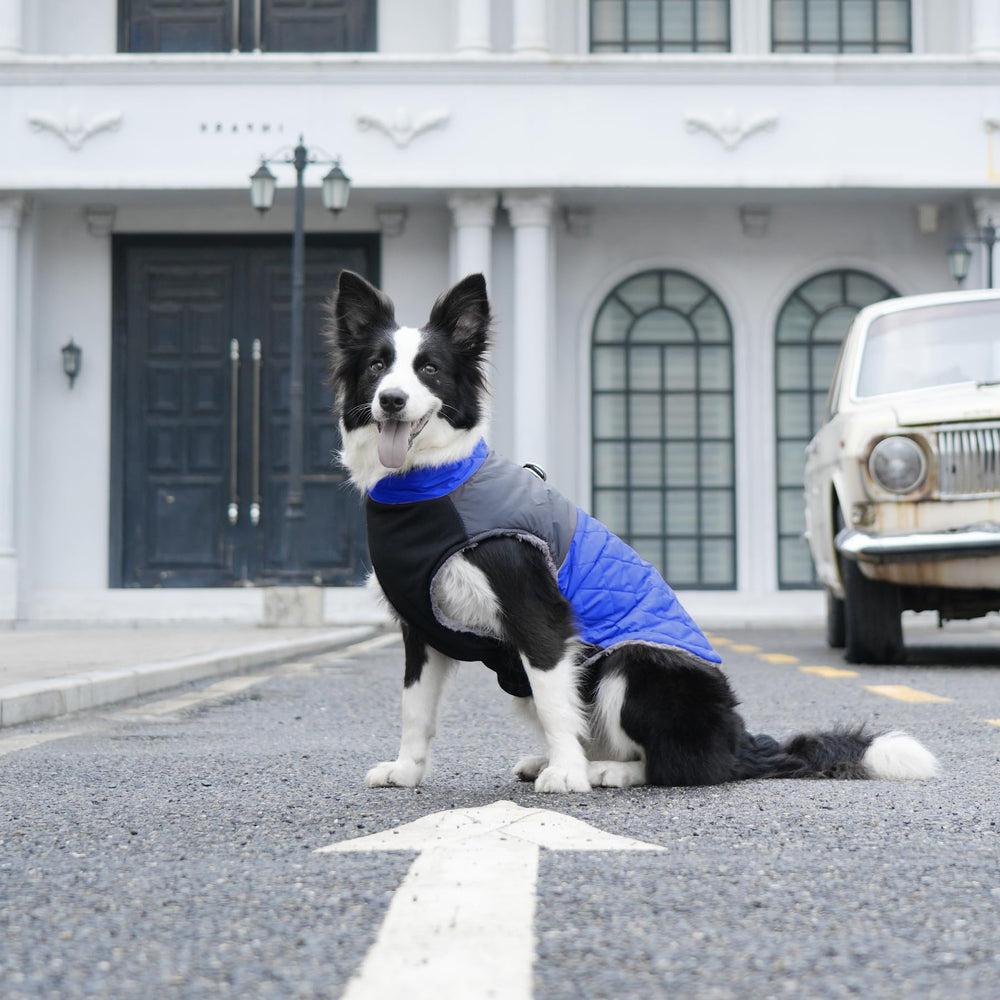 JoyDaog blue-grey colorblocking coat ready for cold winter outings