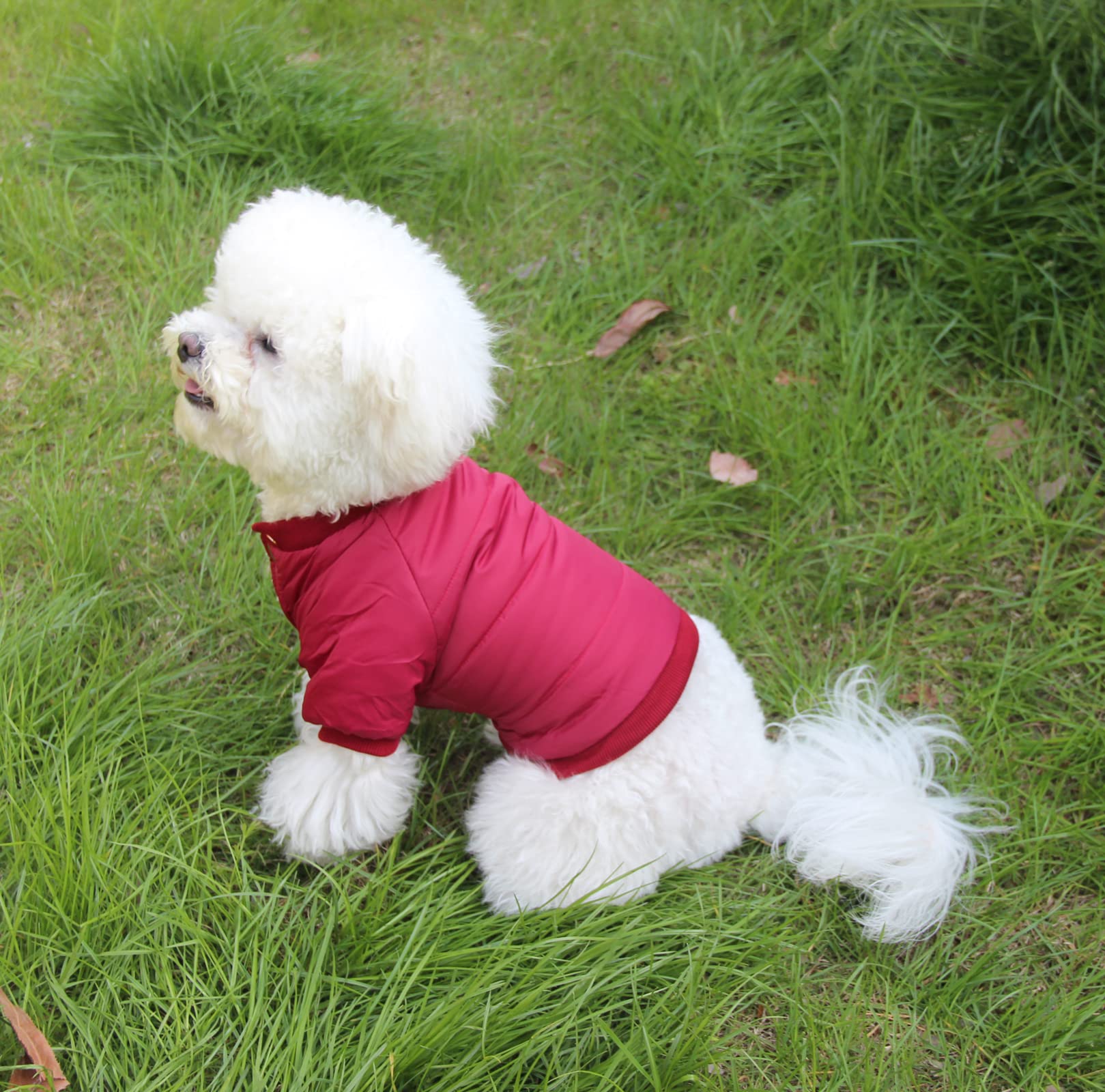 JoyDaog easy-on-off dog coat simplifies dressing for quick winter outings.