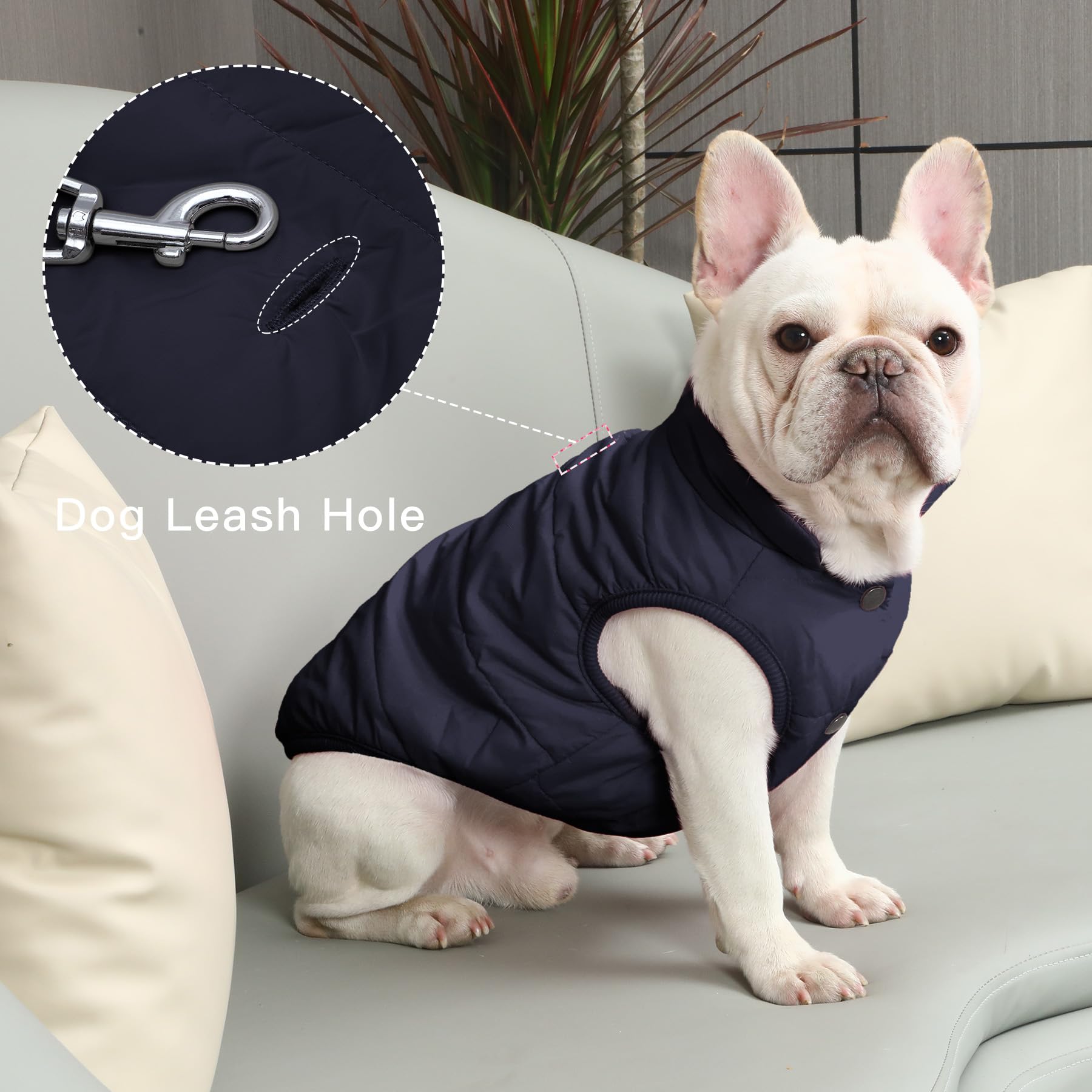 JoyDaog jacket with elastic edges at feet and waist for secure fit