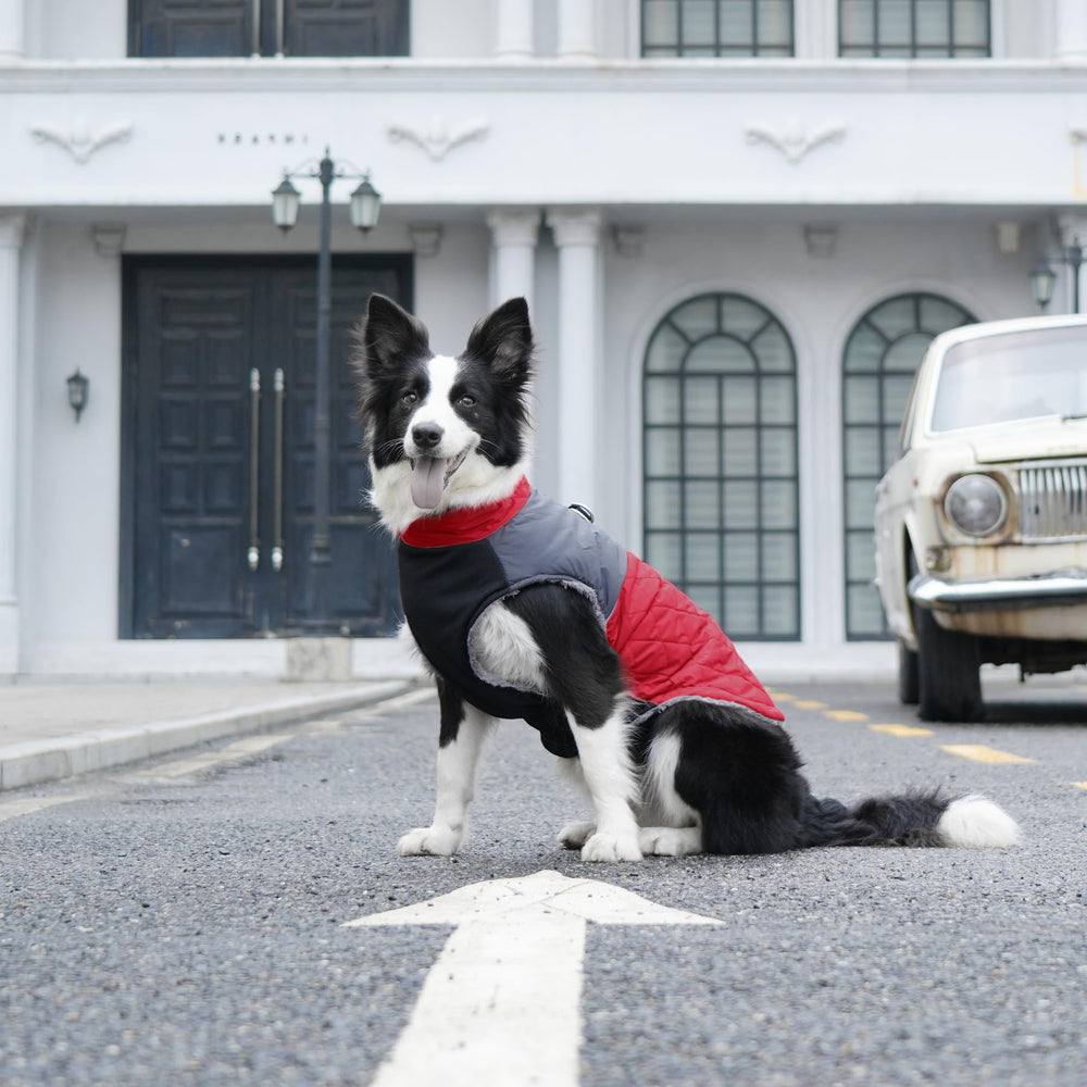 JoyDaog fleece lining adds warmth and a cozy feel inside the coat.