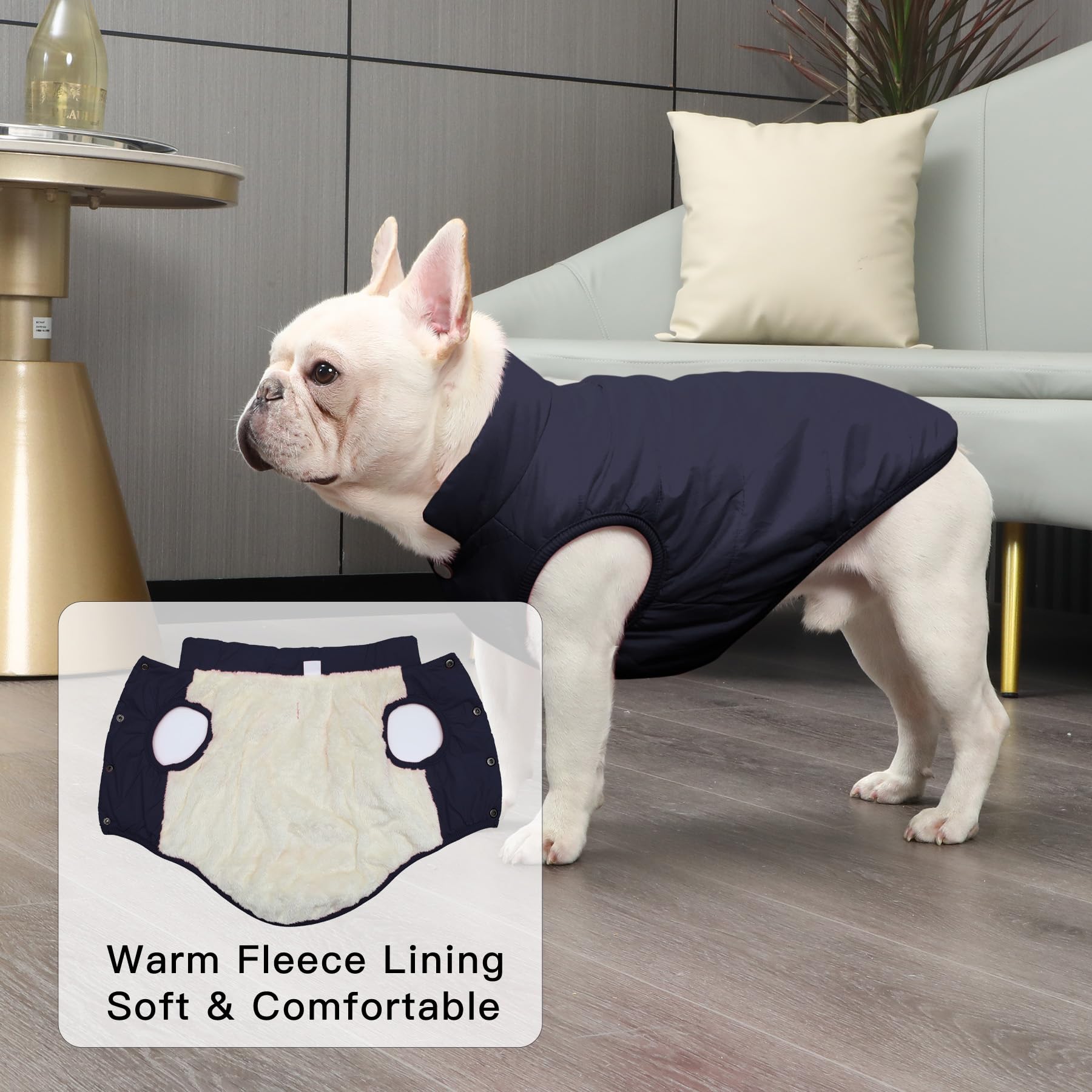 JoyDaog fleece lined small dog coat offers soft warmth