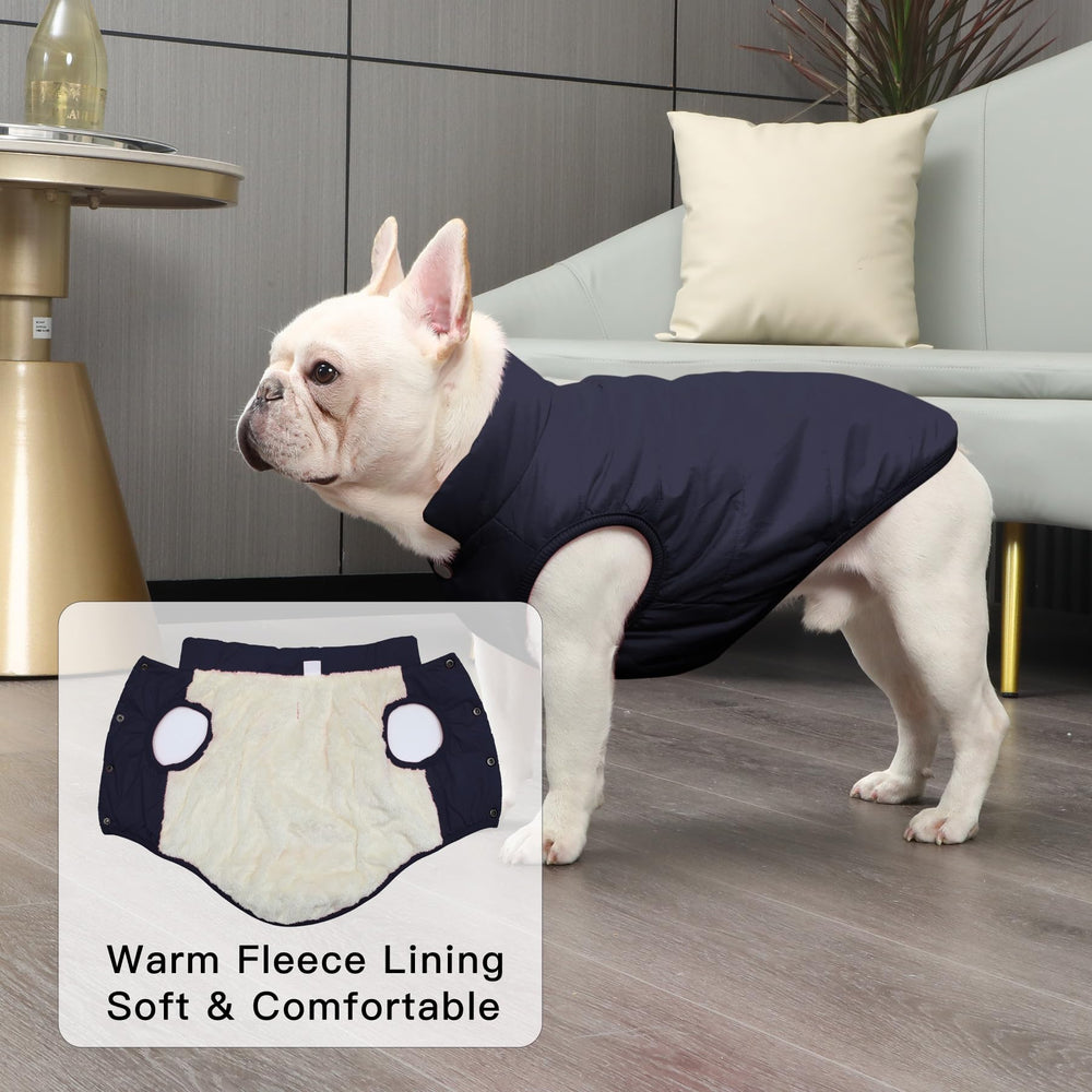 JoyDaog fleece lined small dog coat offers soft warmth