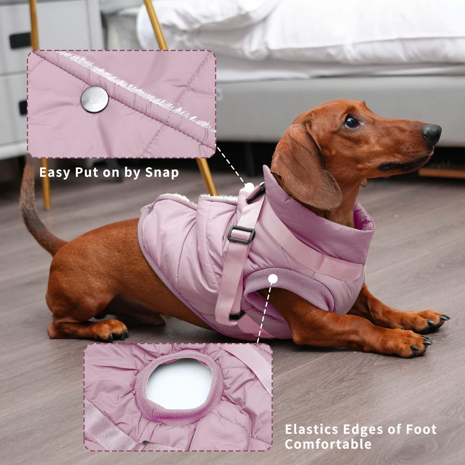 JoyDaog harness-built jacket highlights built-in harness distributing pull for controlled leash use