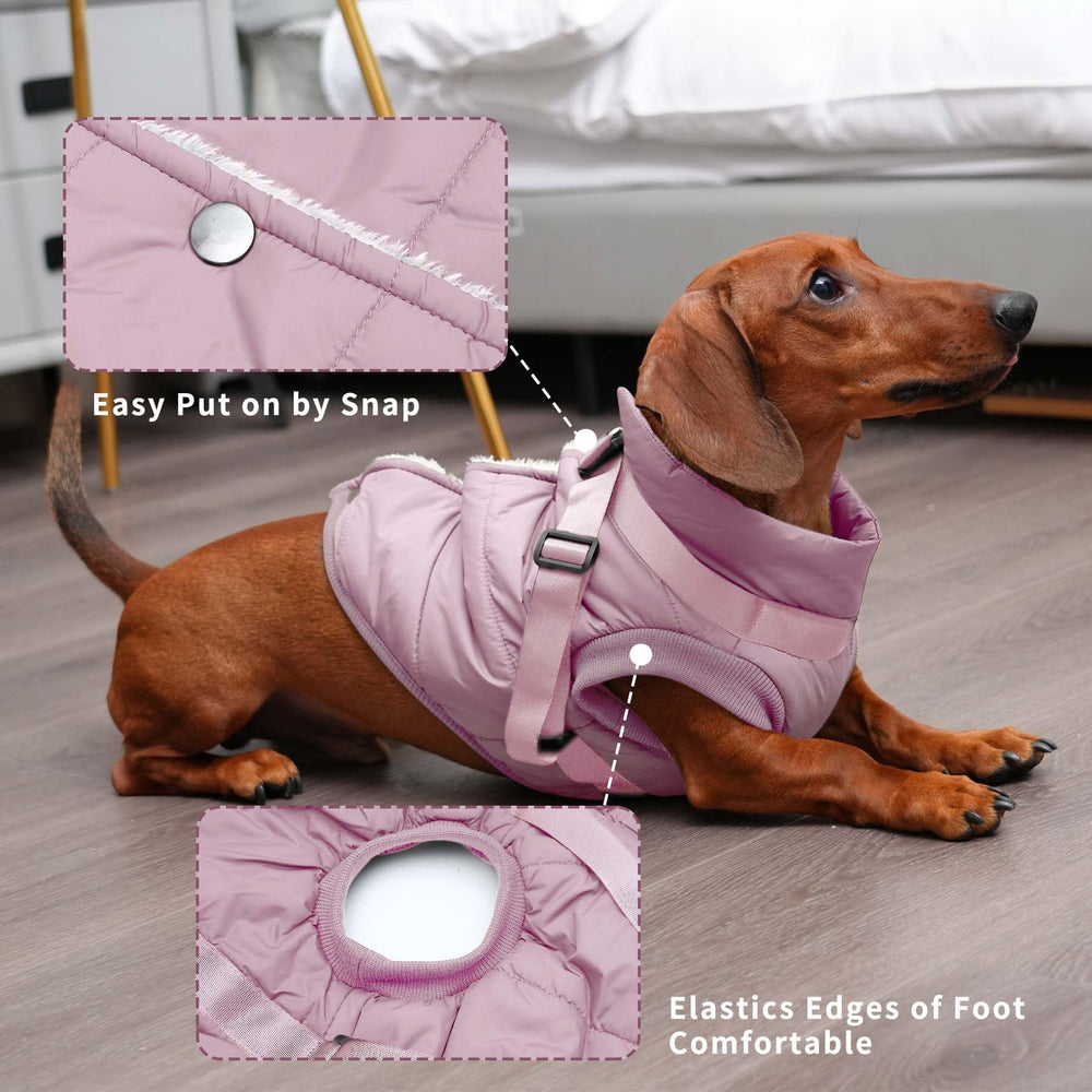JoyDaog harness-built jacket highlights built-in harness distributing pull for controlled leash use