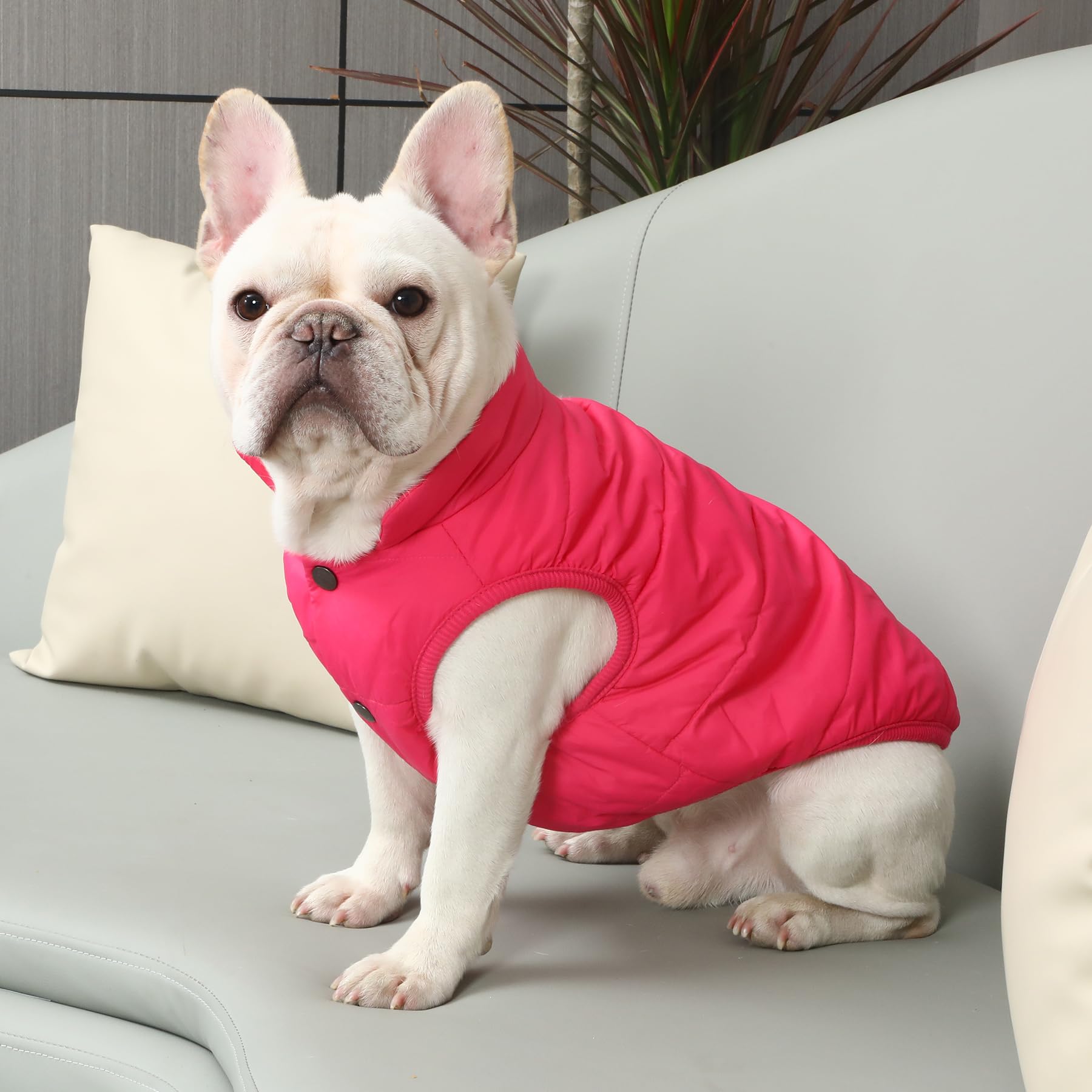 JoyDaog pink 2layers fleece jacket back view highlighting wind protection