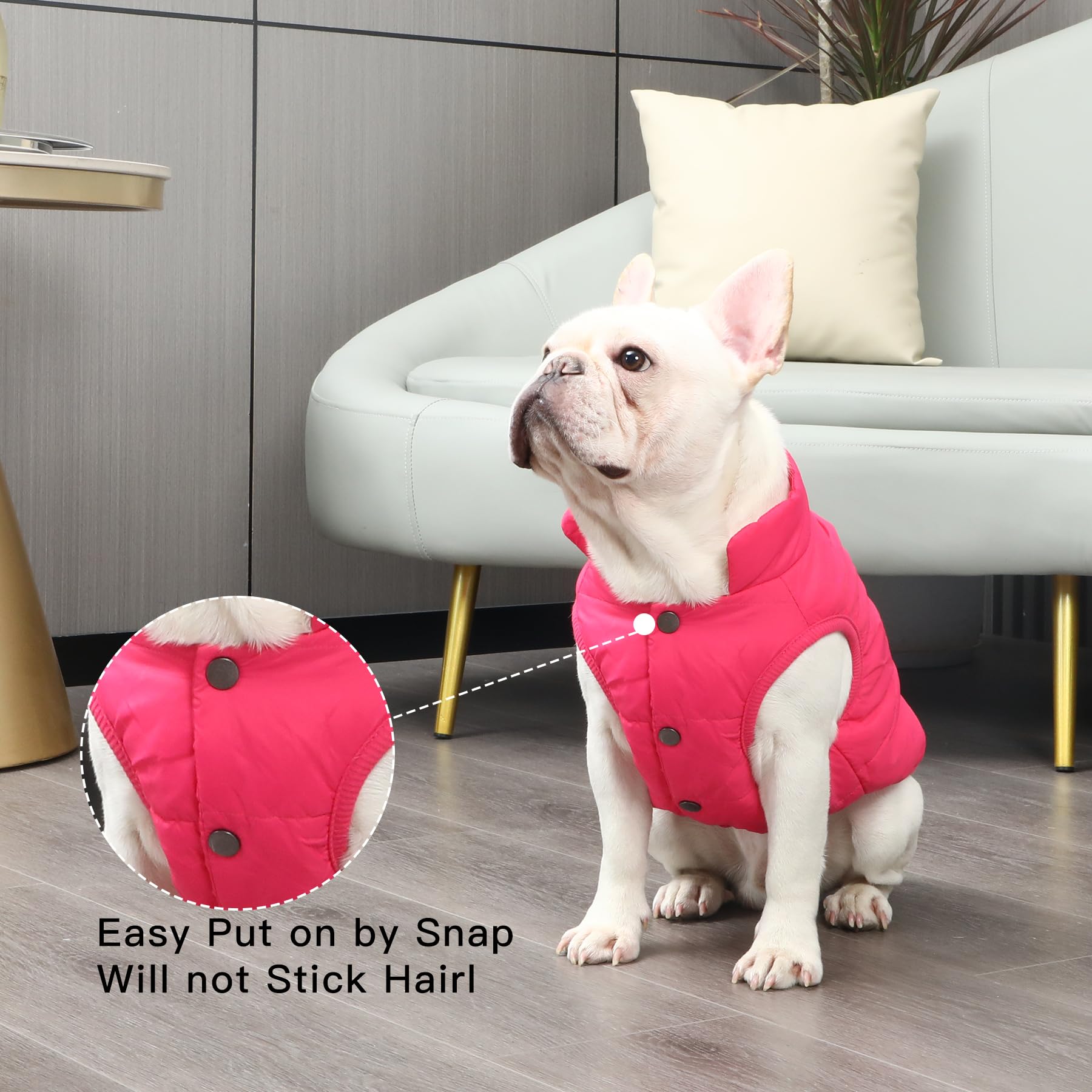 JoyDaog pink dog jacket elastic edges ensure snug fit