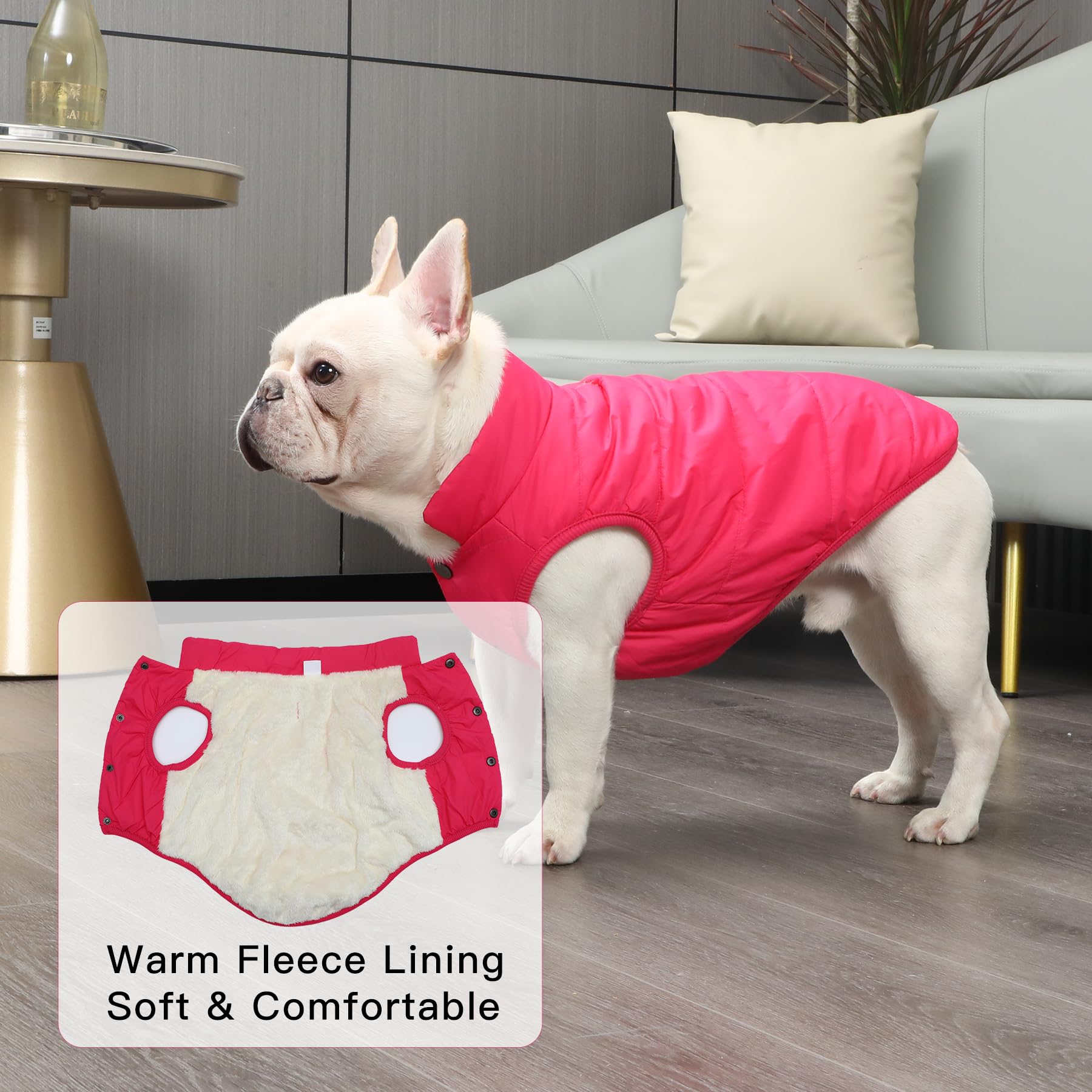 JoyDaog pink dog jacket windproof outer layer blocks cold gusts