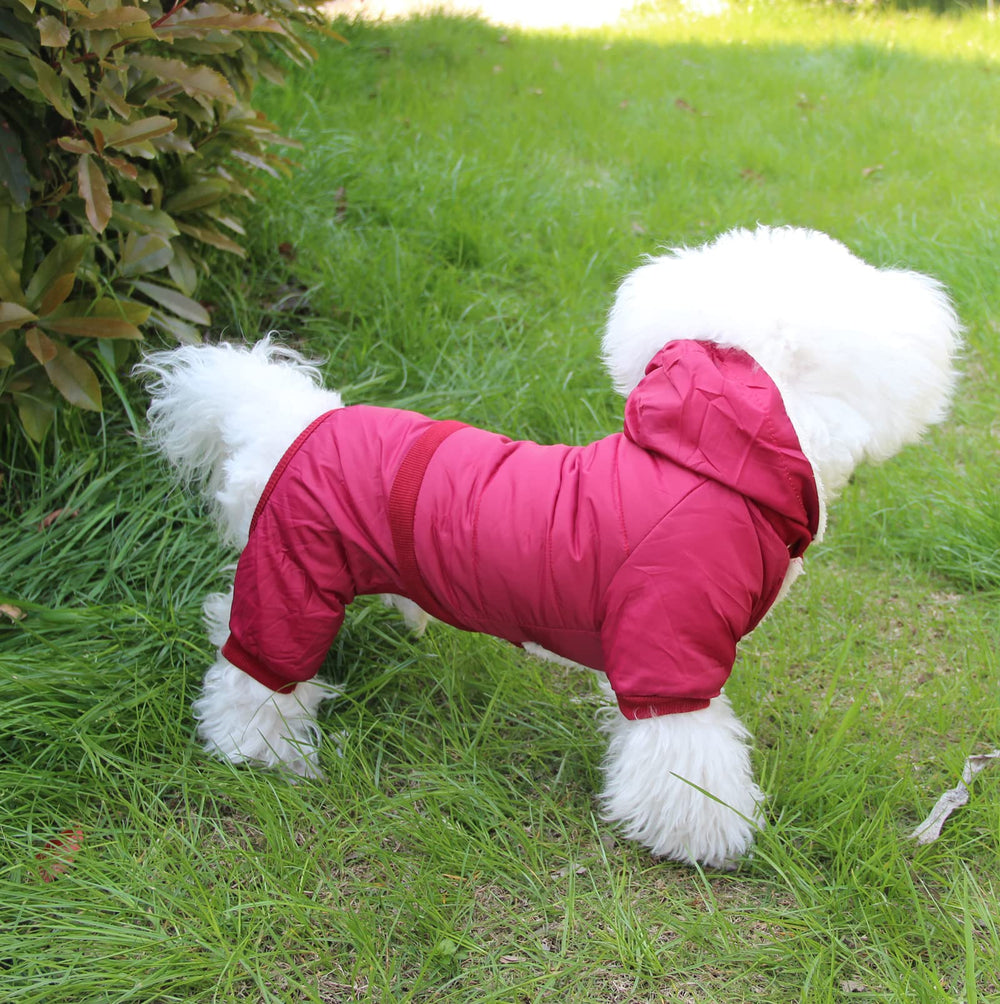 JoyDaog red winter dog coat highlighted for warmth and weather protection in cold days.
