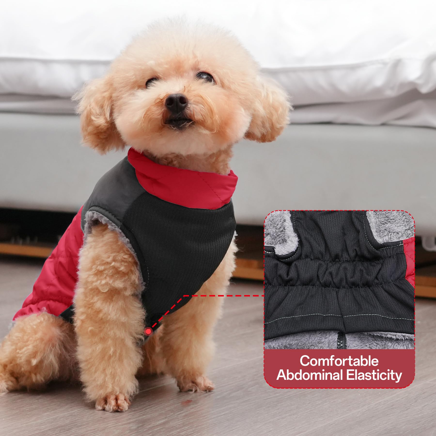 JoyDaog reflective strips improve night visibility during evening walks.