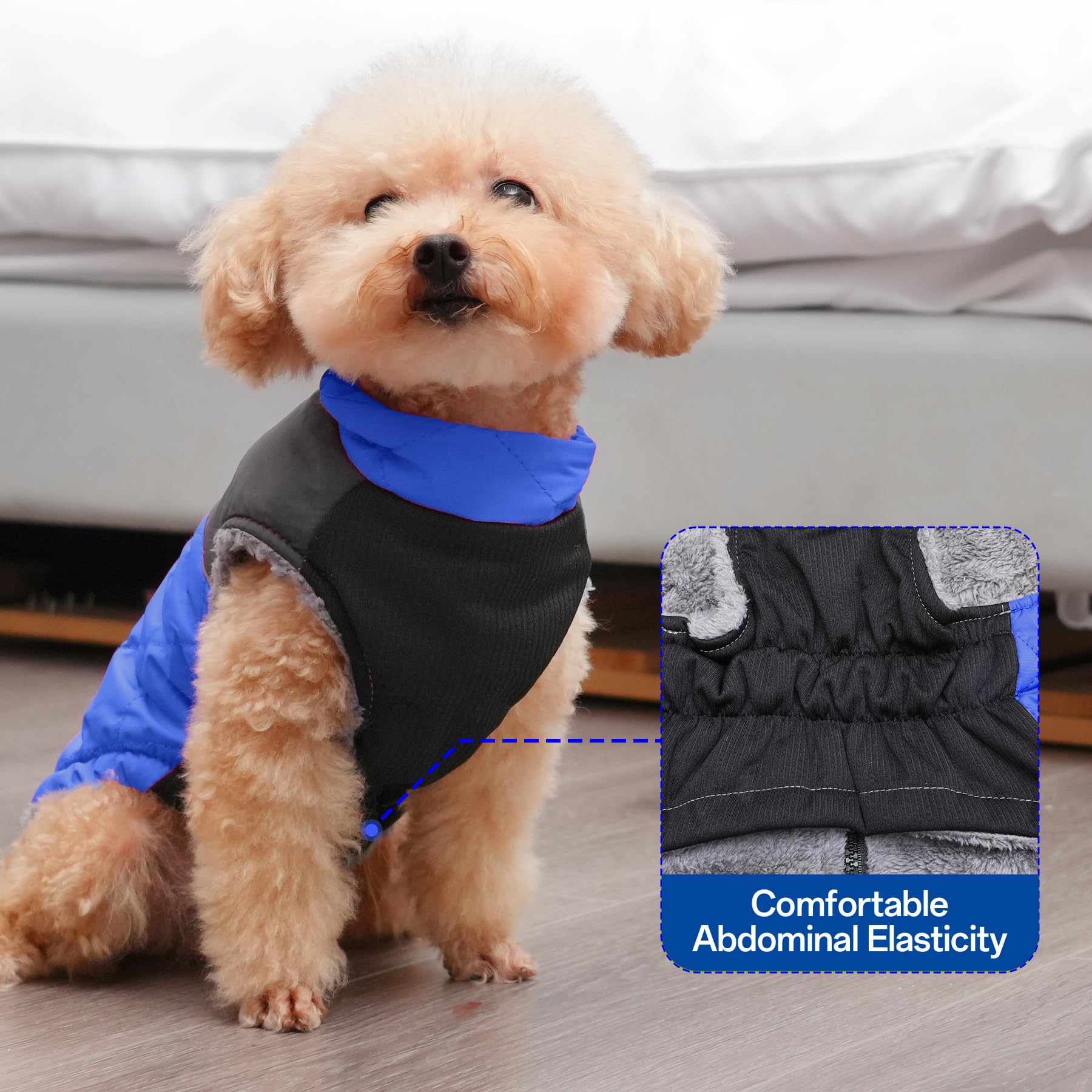 JoyDaog reflective strips brighten night walks for improved visibility