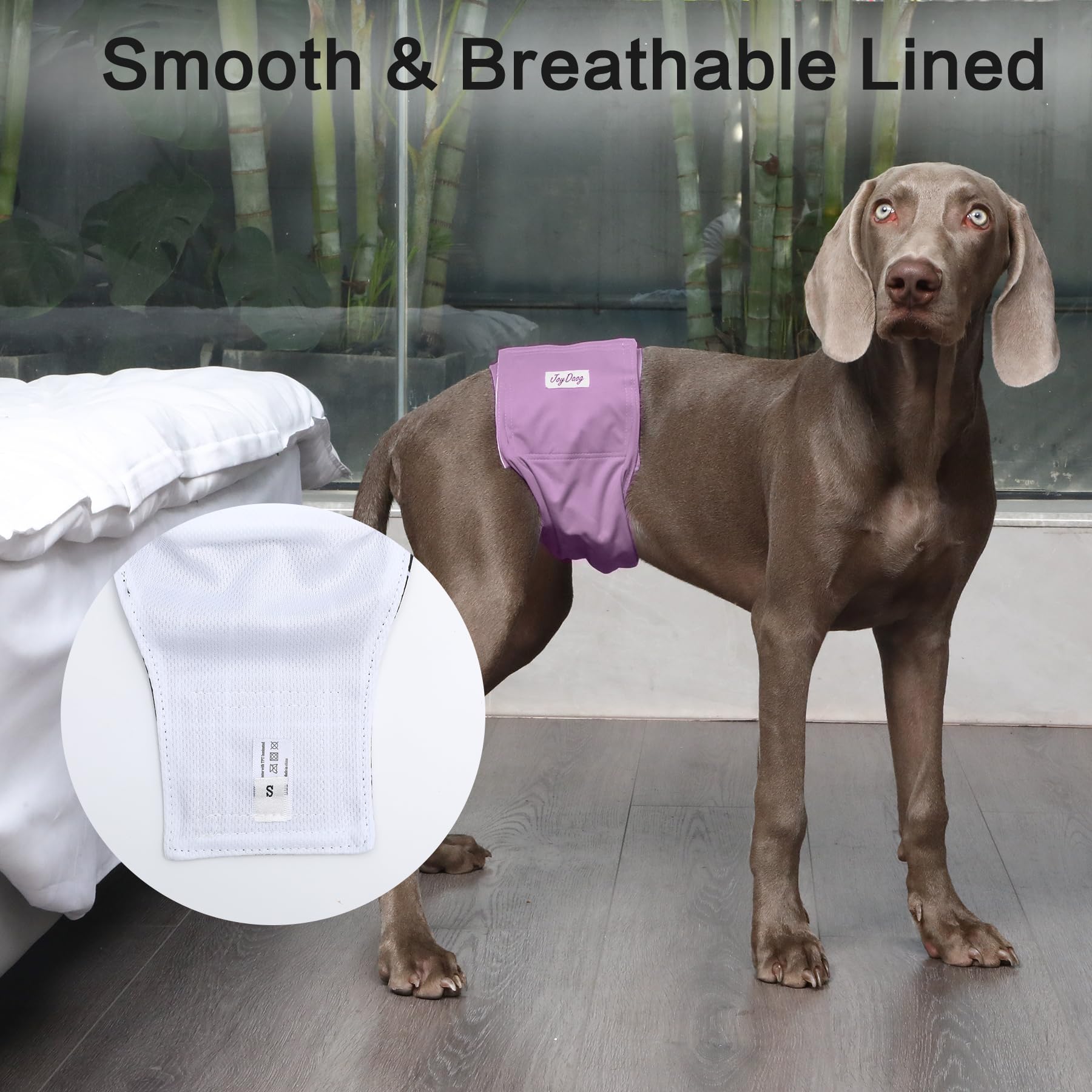 JoyDaog belly band L active use reduces mess during potty breaks.