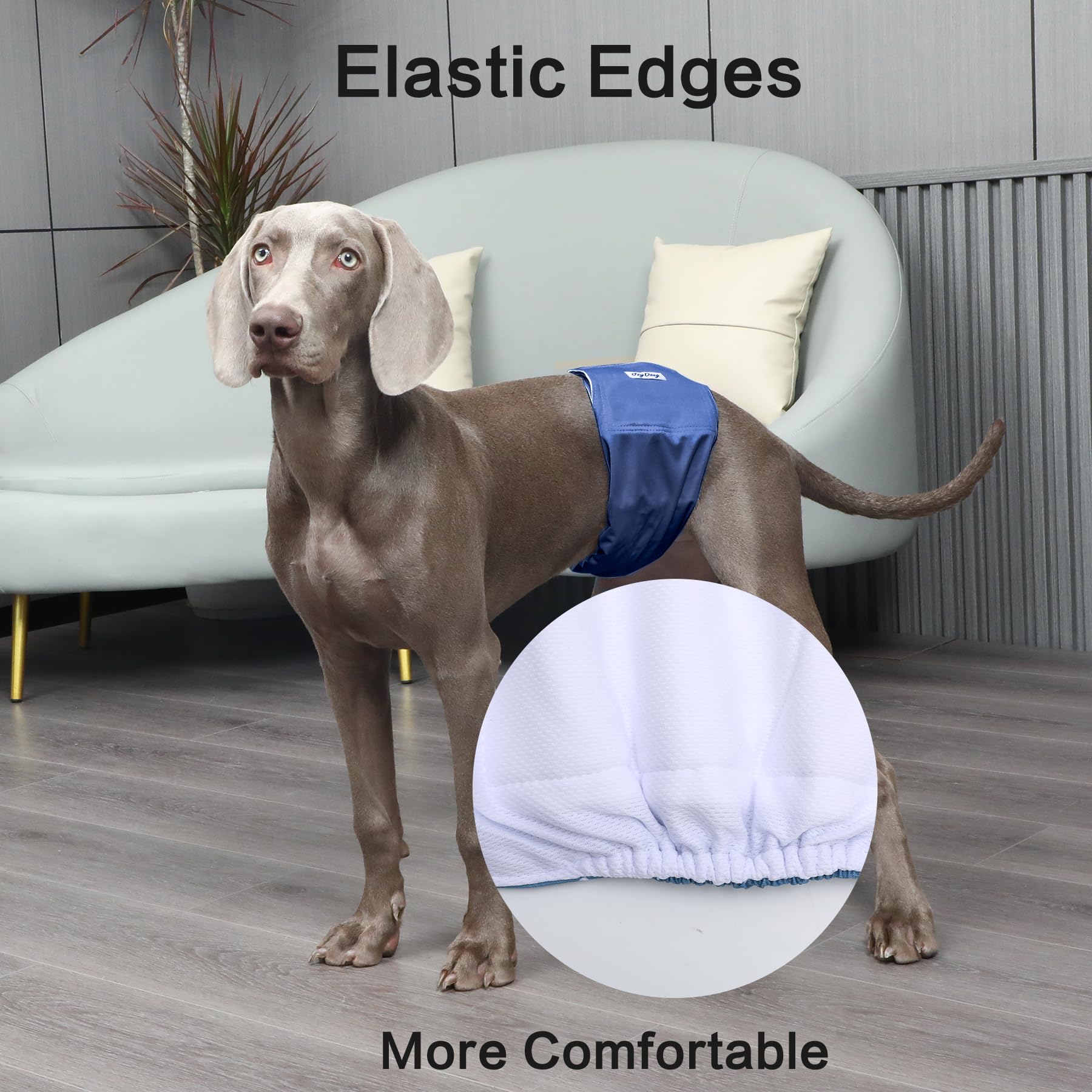 JoyDaog belly band L shows five fashion colors for personal style and durability.