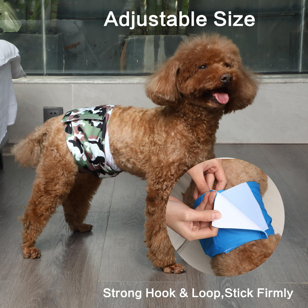 JoyDaog belly band L worn on a dog shows secure wrap during outings.