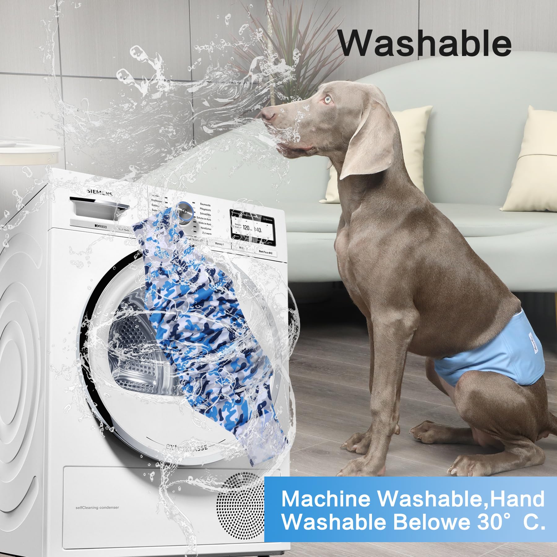 JoyDaog belly band L packaging and easy storage after washing.