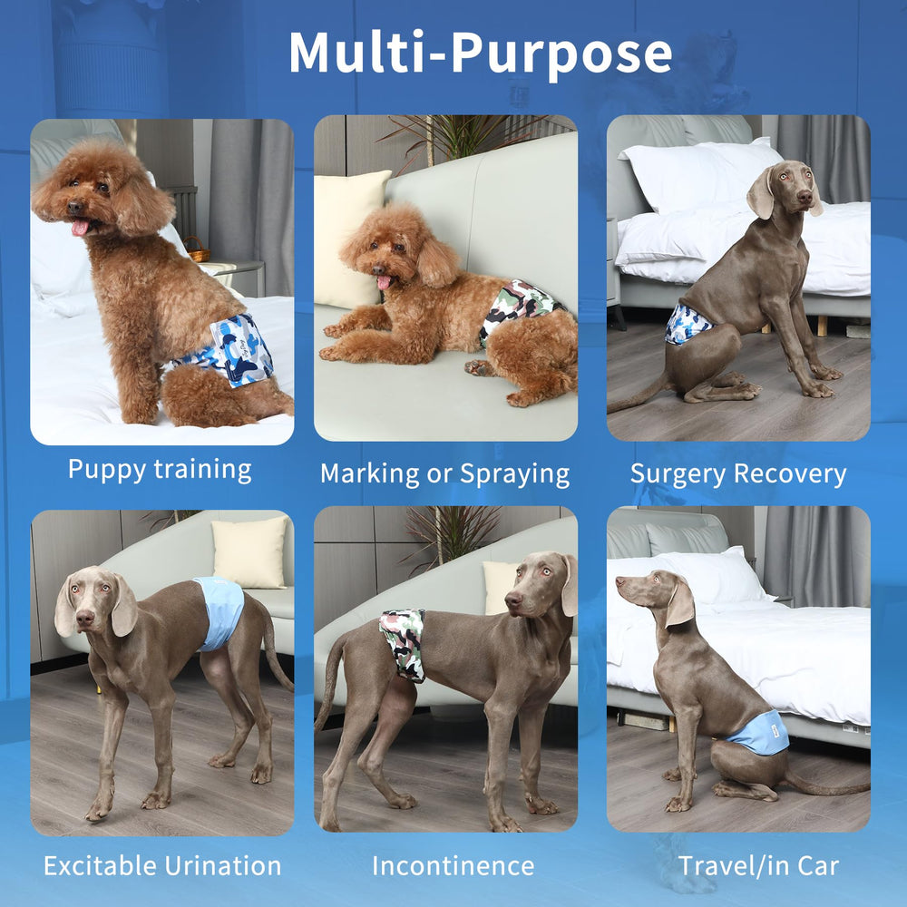 JoyDaog belly band L washable design is durable and cost-saving.
