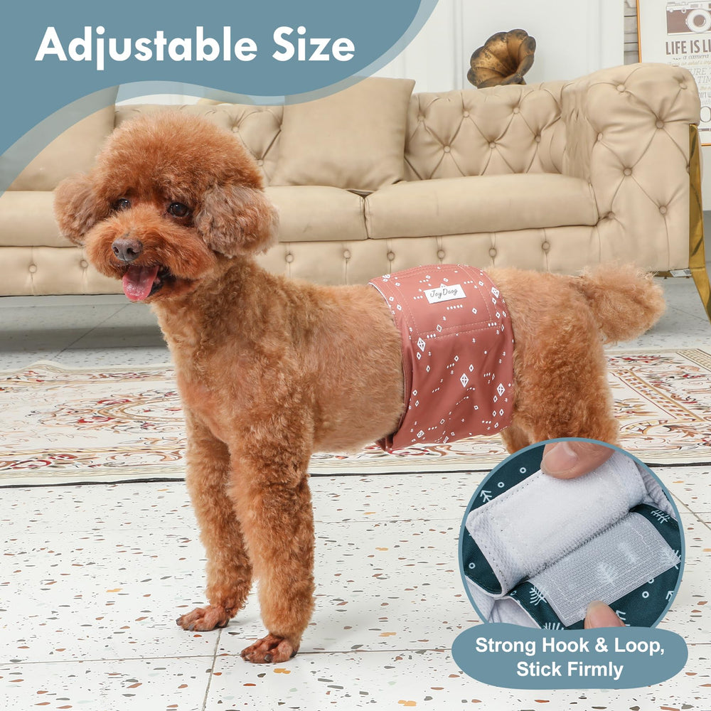 JoyDaog size guide helps you measure for a better fit