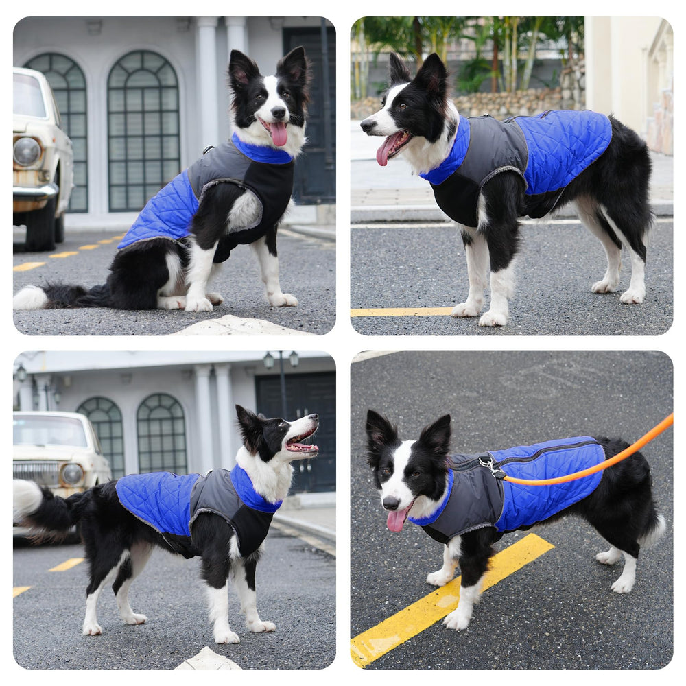 JoyDaog size L chest measurement guide to ensure proper fit