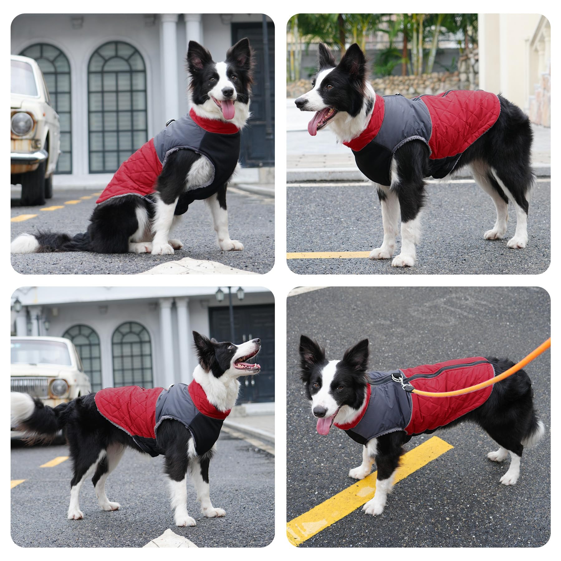 JoyDaog size M coat fits chest 16 to 18 inches for small dogs.