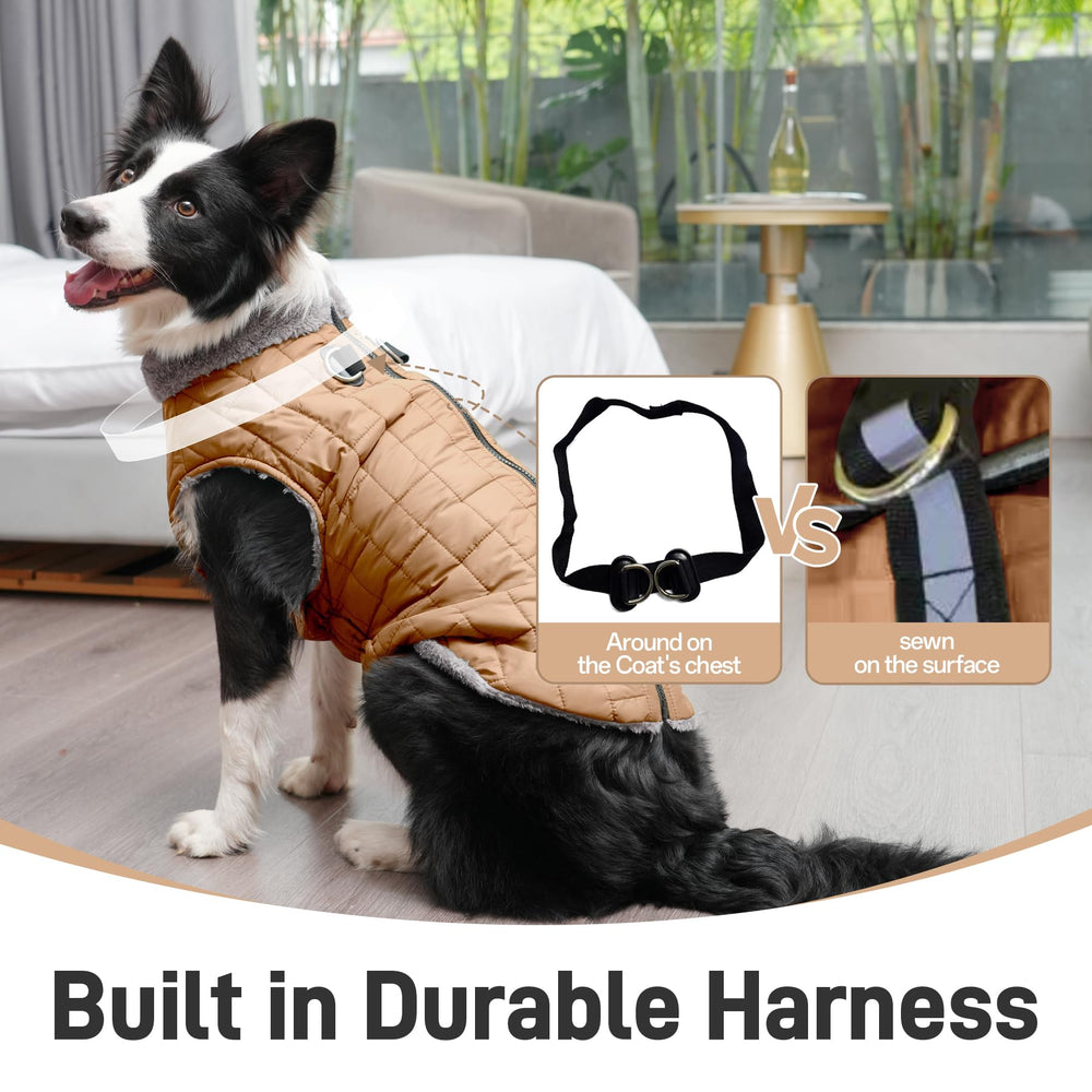 JoyDaog small dog coat demonstrating proper fit and sizing guidance