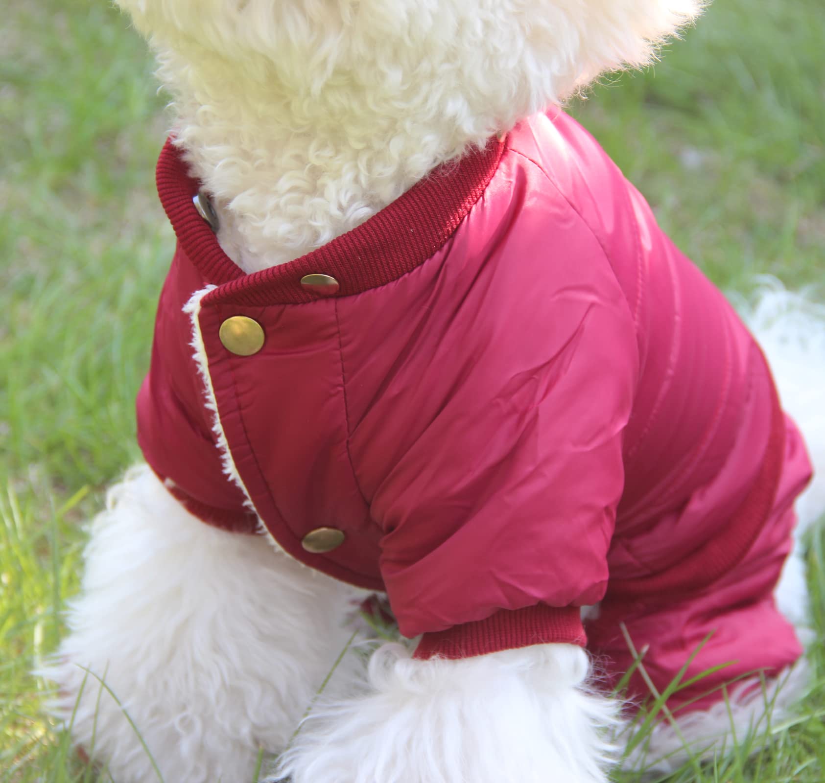 JoyDaog threaded-edge foot cuffs shown for secure, comfortable fit around paws.