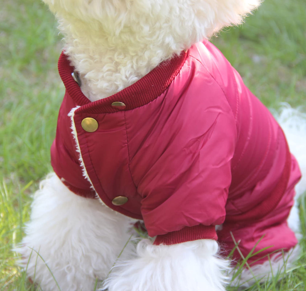 JoyDaog threaded-edge foot cuffs shown for secure, comfortable fit around paws.
