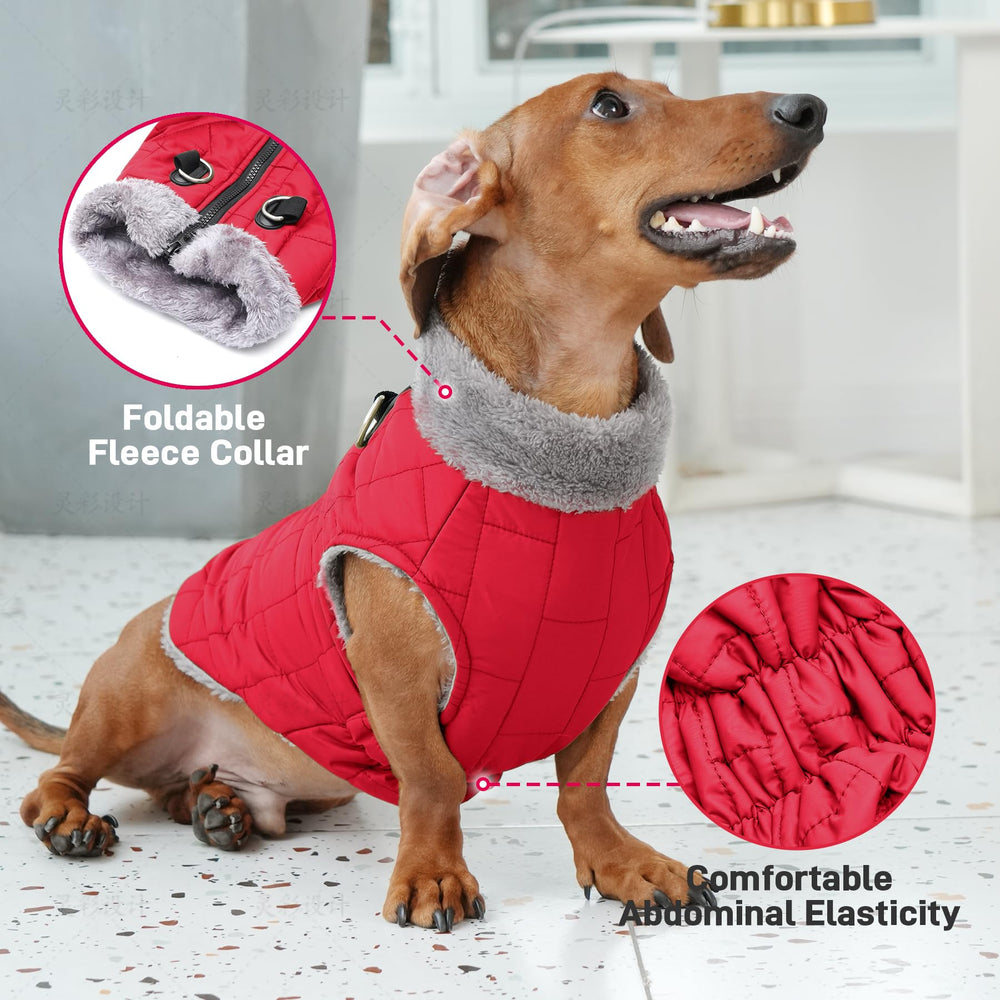 JoyDaog abdominal elastic panel for comfortable, secure fit