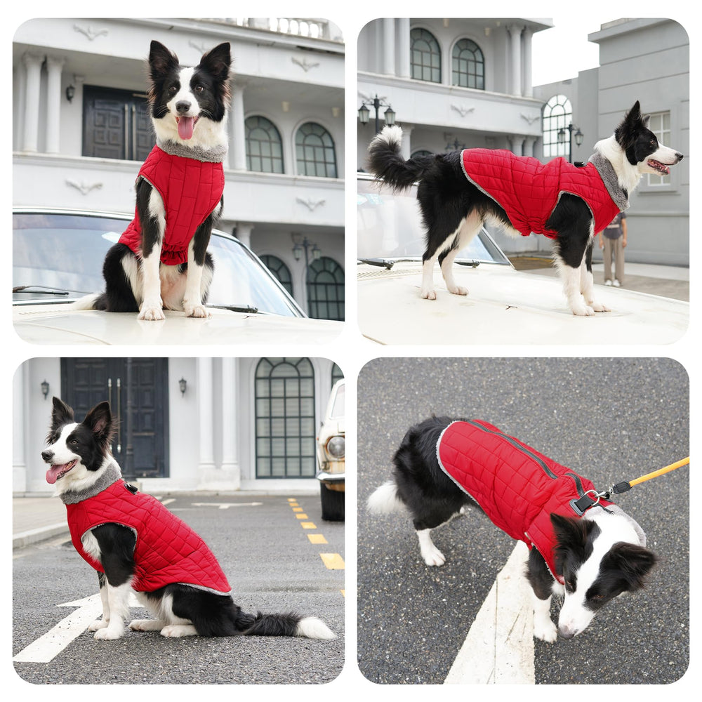 JoyDaog close-up of soft fleece collar for extra warmth