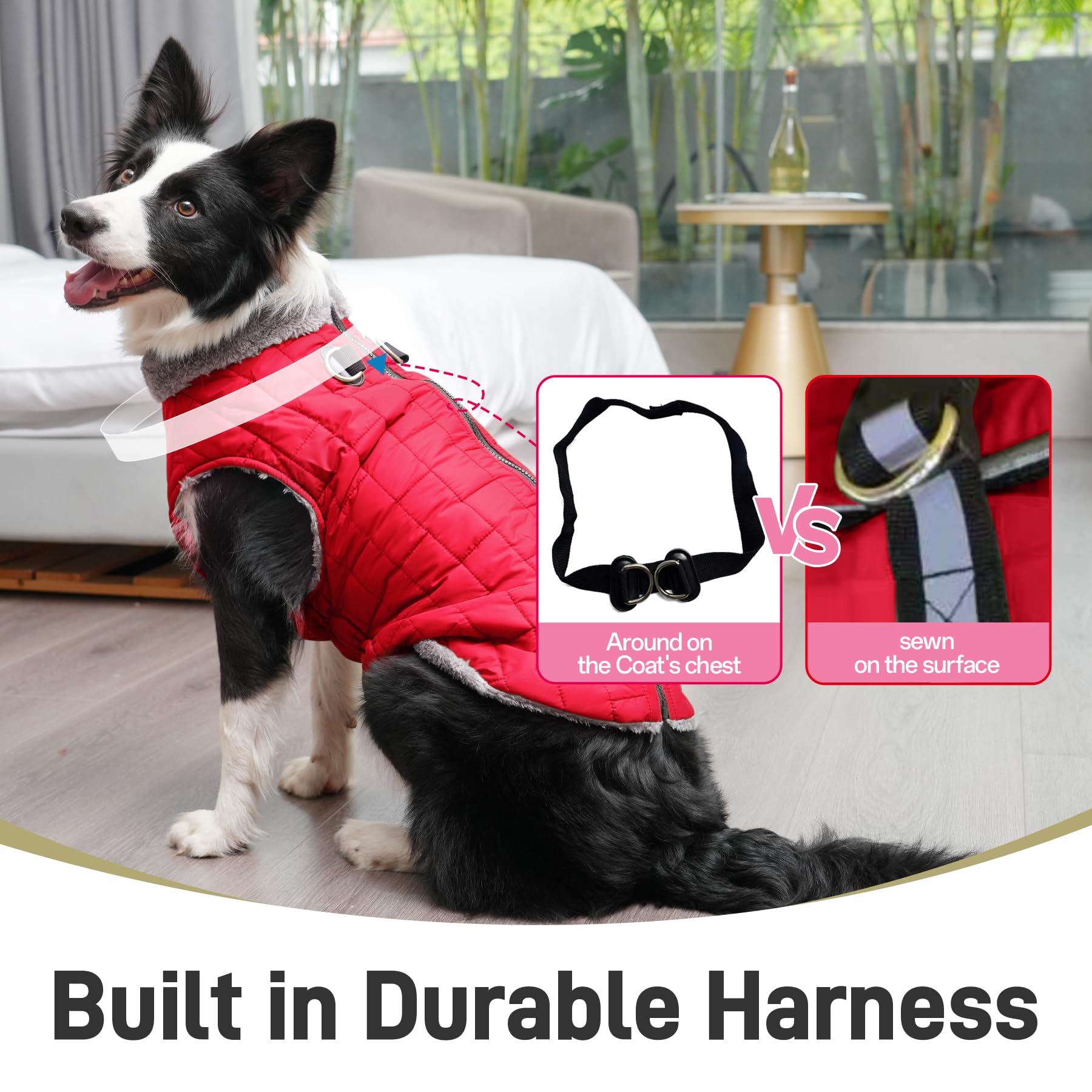 JoyDaog built-in harness with two D-rings and PVC seal for secure leash connection