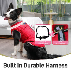 JoyDaog built-in harness with two D-rings and PVC seal for secure leash connection