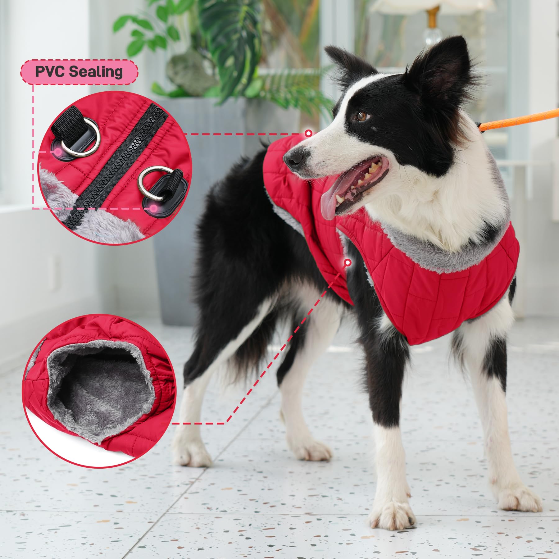 JoyDaog size S chest guide helps choose proper fit for small dogs