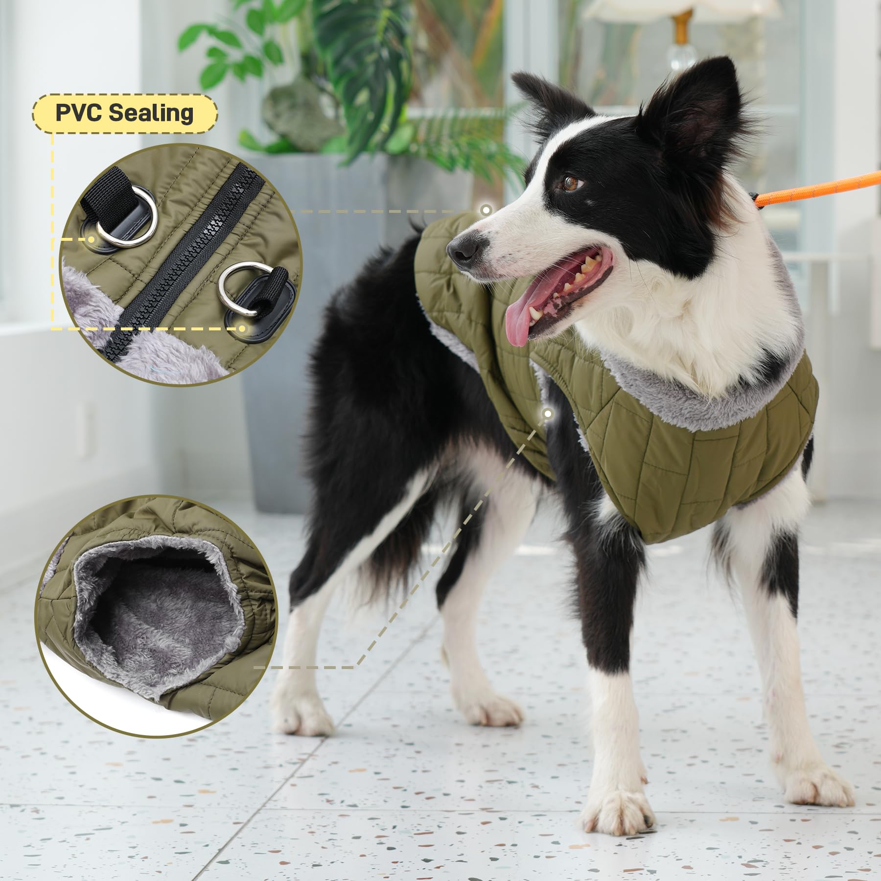JoyDaog abdominal elastic for comfortable, snug fit.