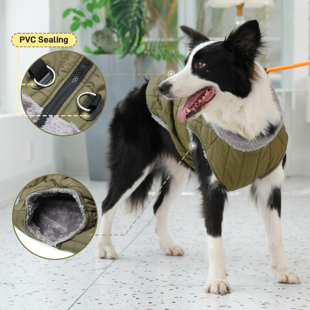 JoyDaog abdominal elastic for comfortable, snug fit.