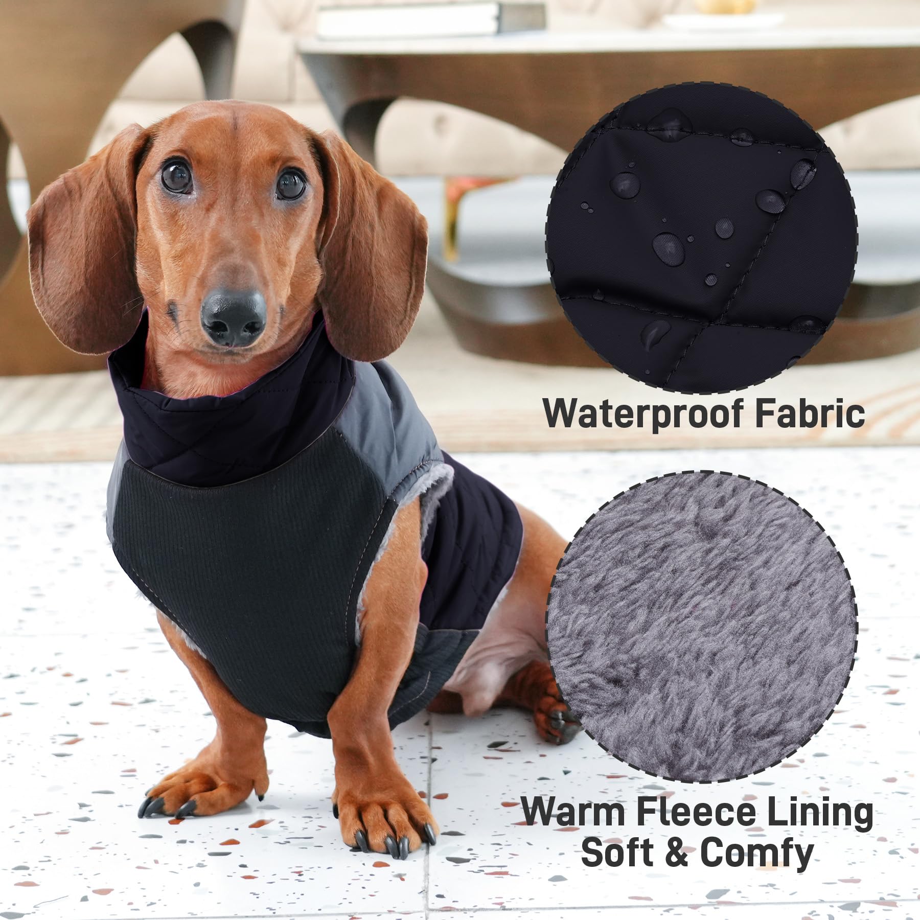 JoyDaog warm fleece dog coat back view highlights D-rings for leash