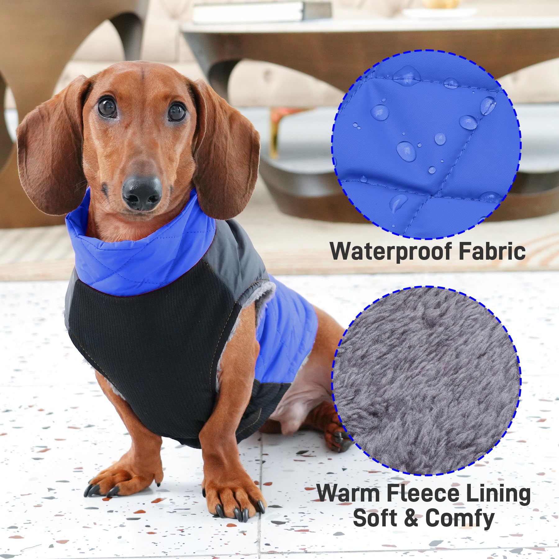 JoyDaog warm fleece coat blue L, back view showing full coverage and fit