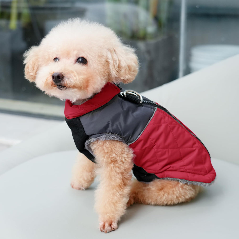 JoyDaog warm fleece coat back view demonstrating full coverage for chilly walks.
